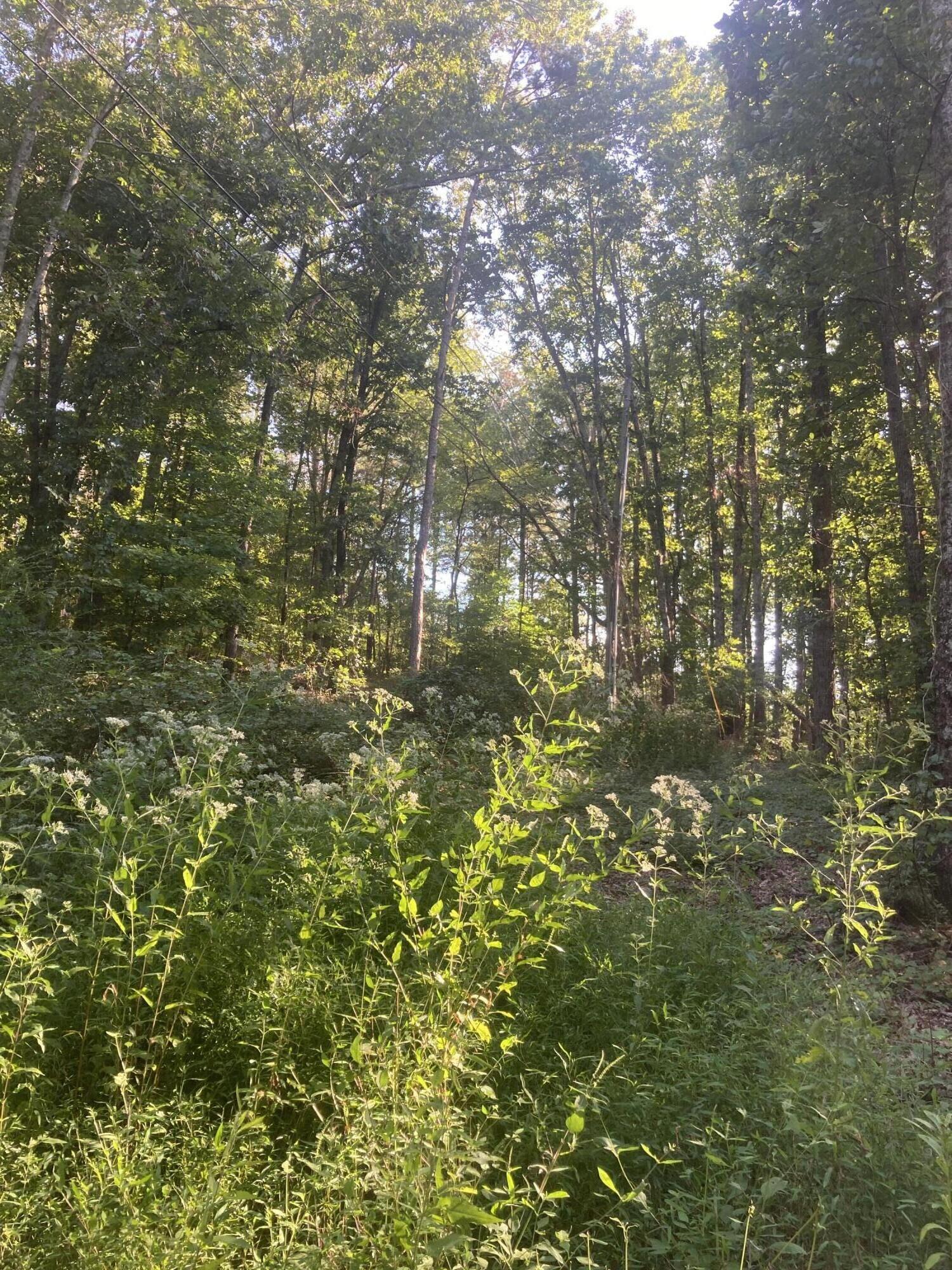 8922 E Brainerd Road