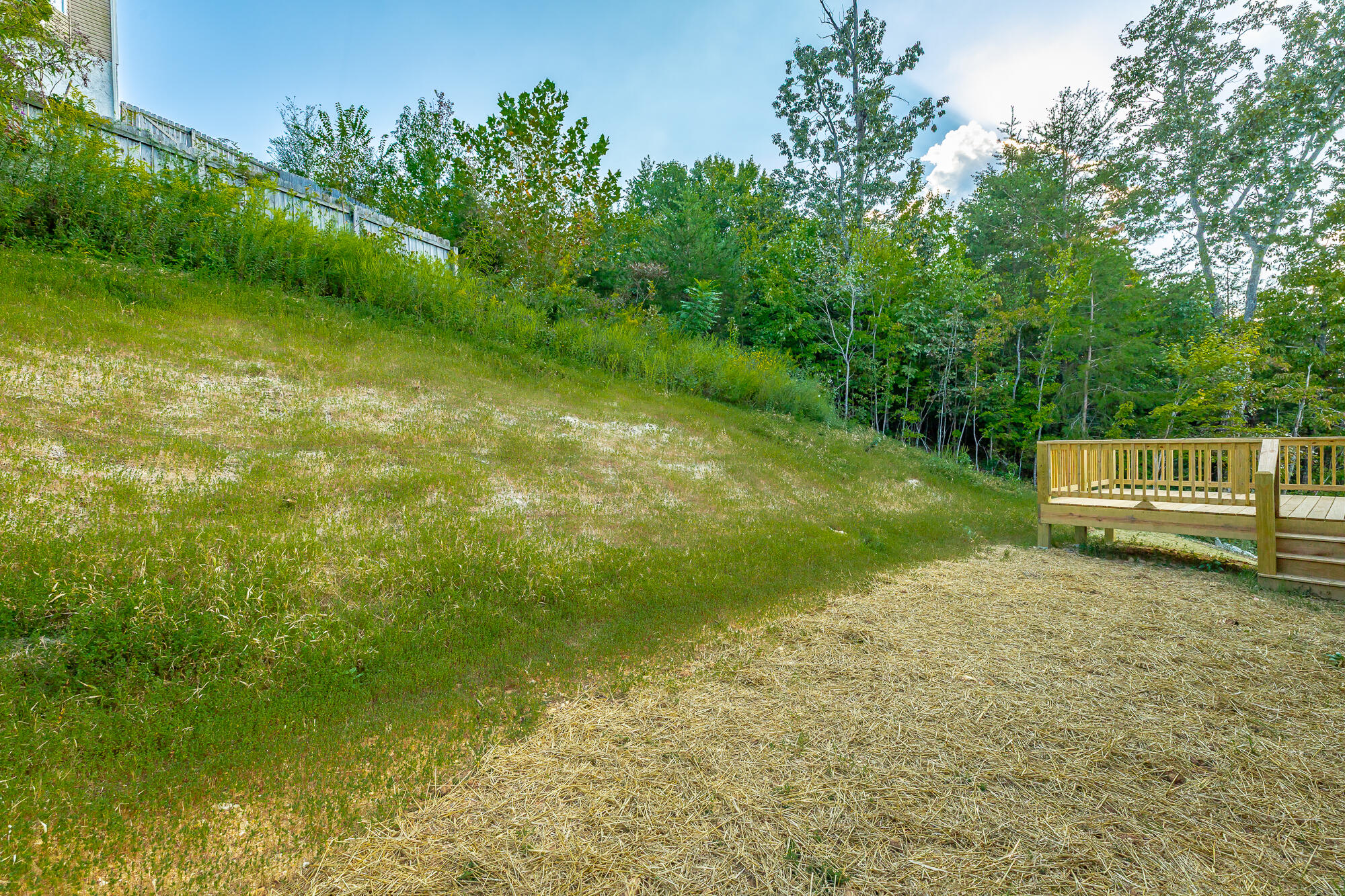 1710 Short Leaf Lane