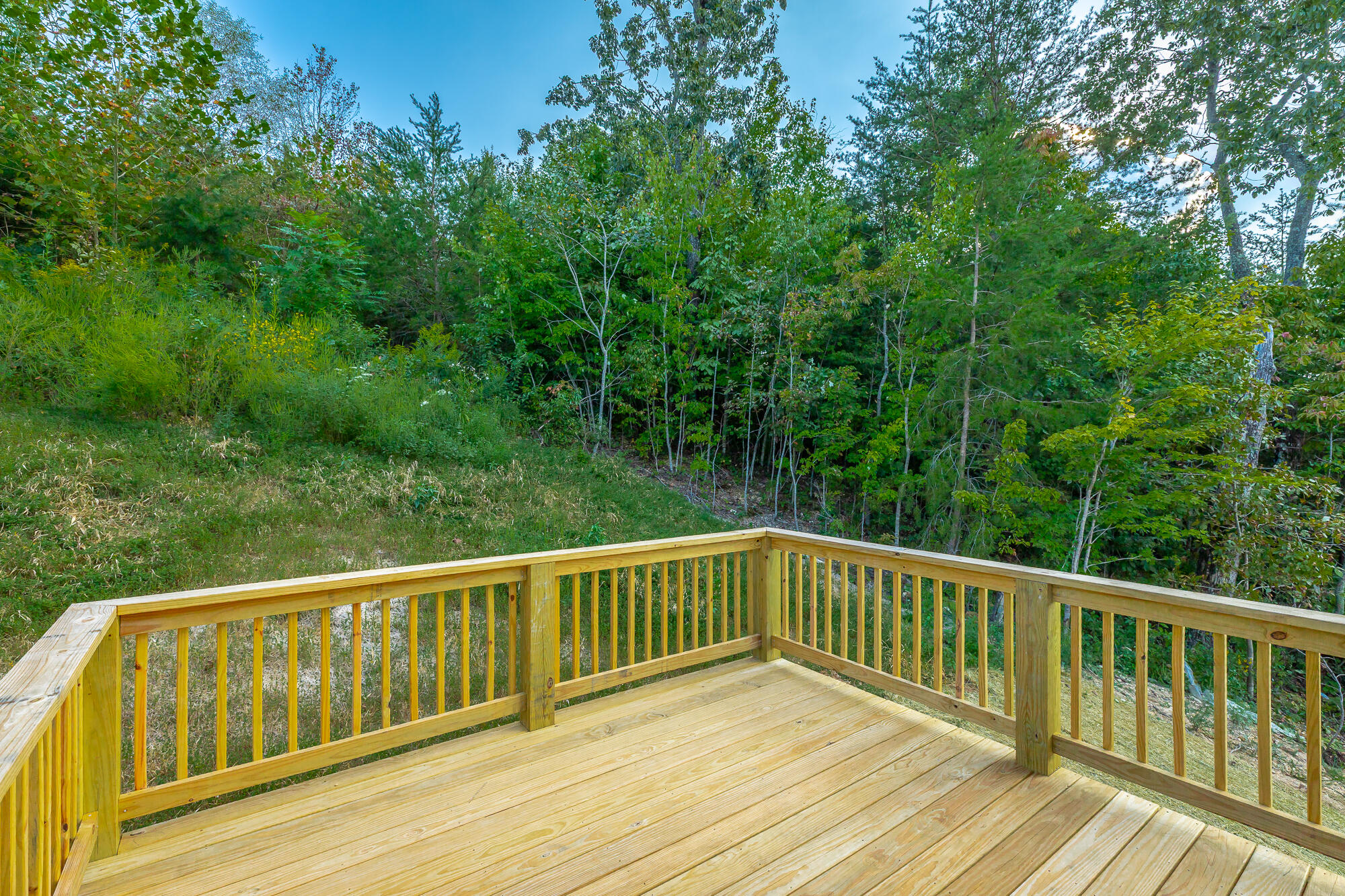 1710 Short Leaf Lane