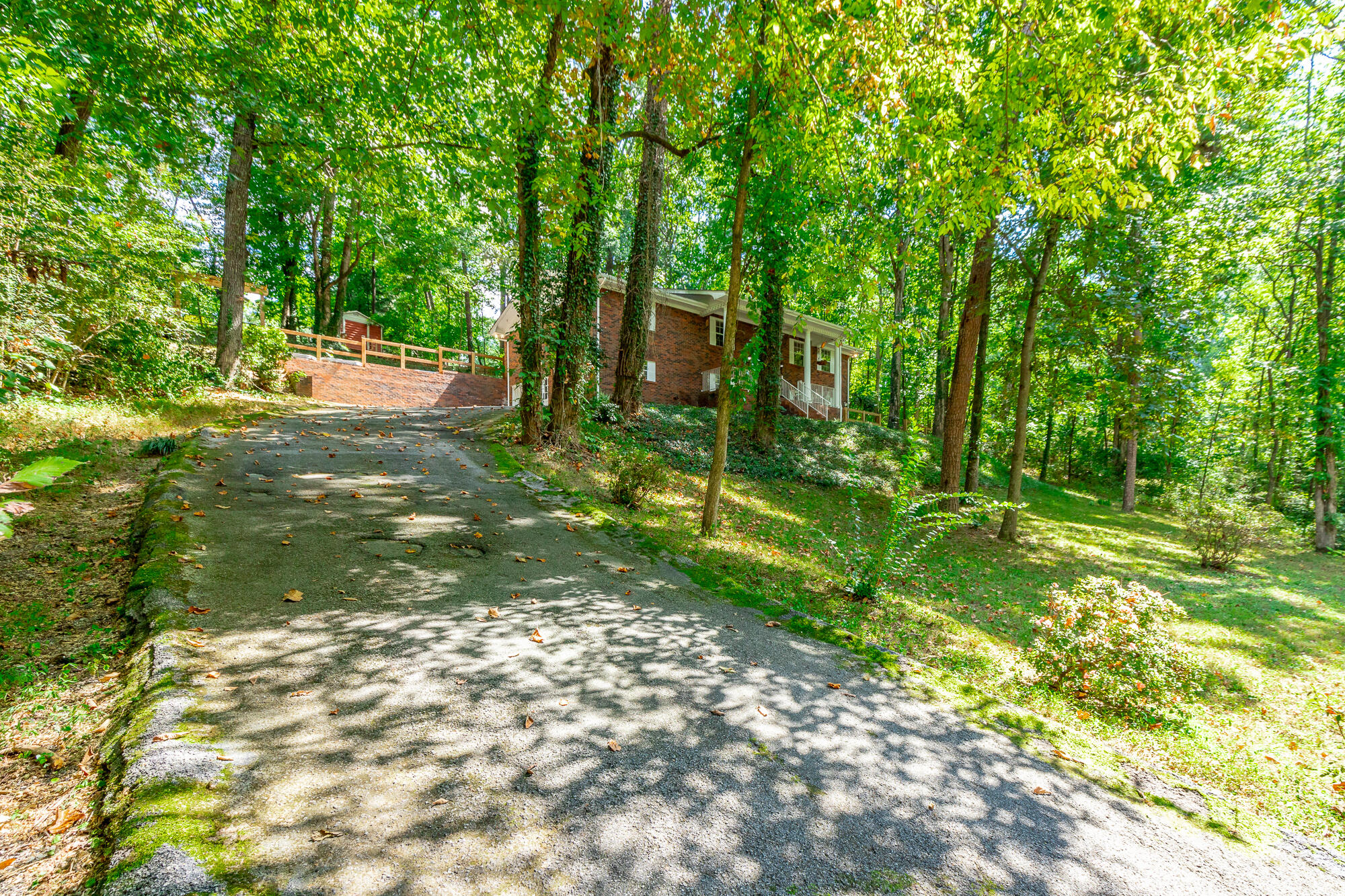 430 Bluebird Circle