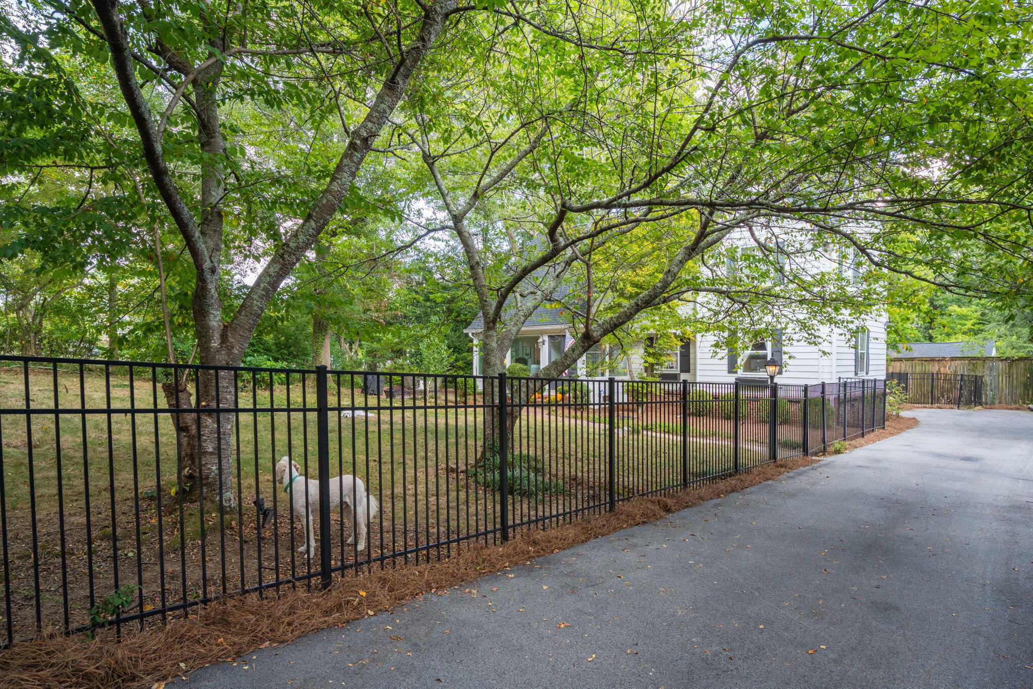 703 Fleetwood Drive