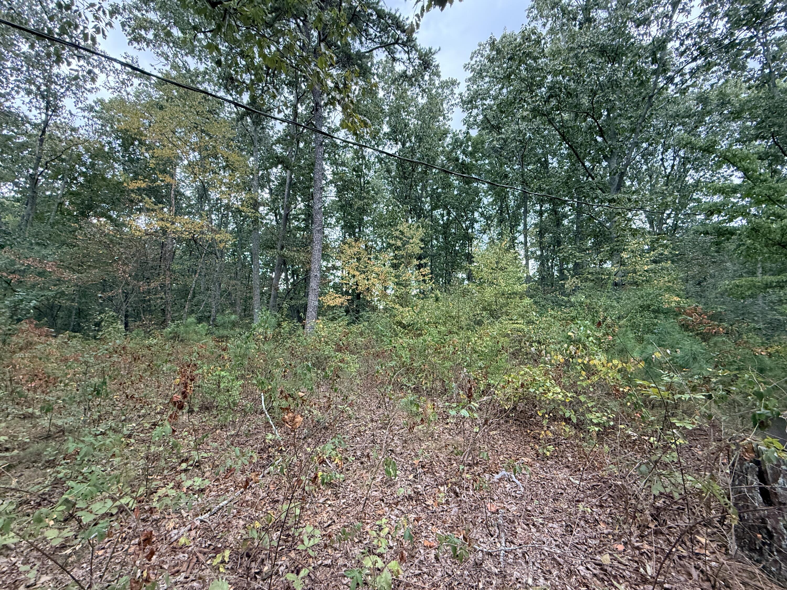 414 Hartline Road