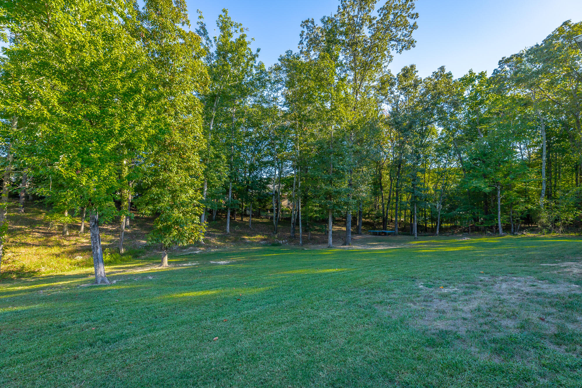 1504 Emerald Pointe Drive
