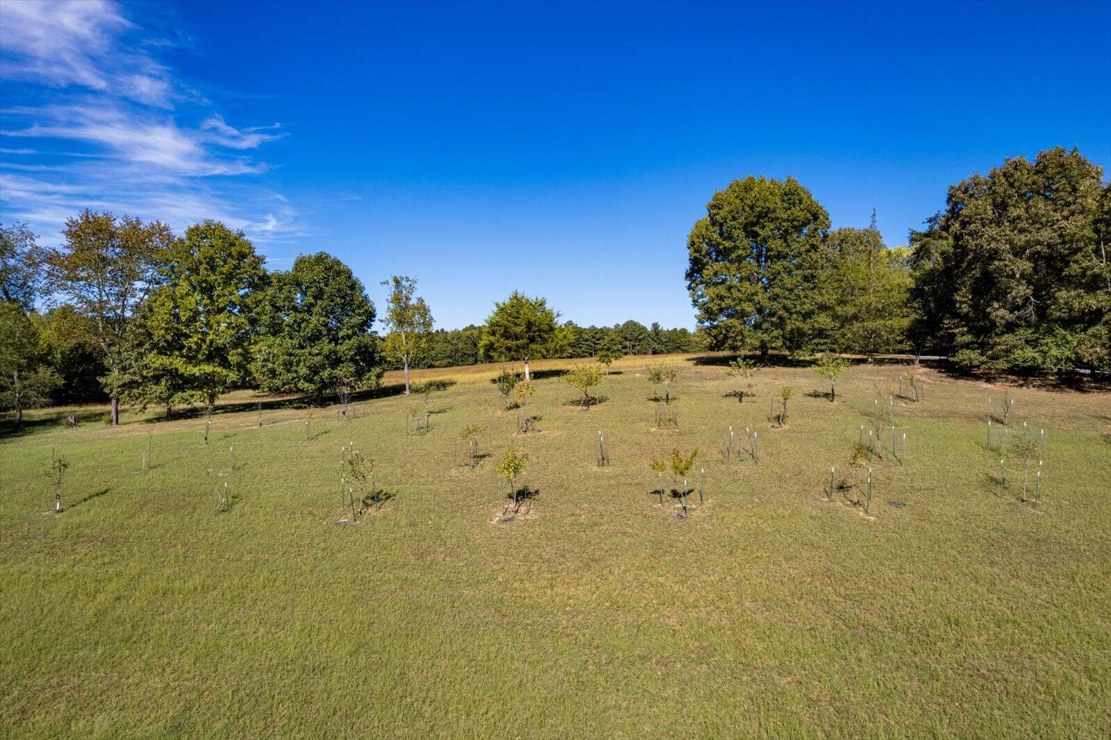 250 Spivey Road