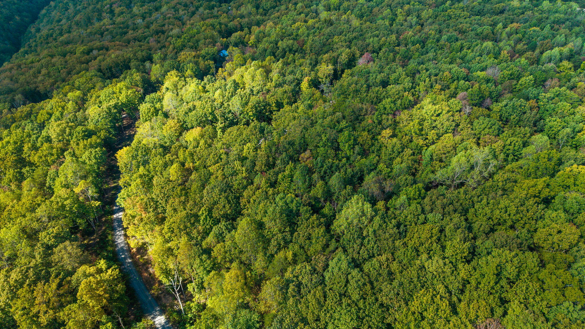 0 Baggett Trail, Lot 8