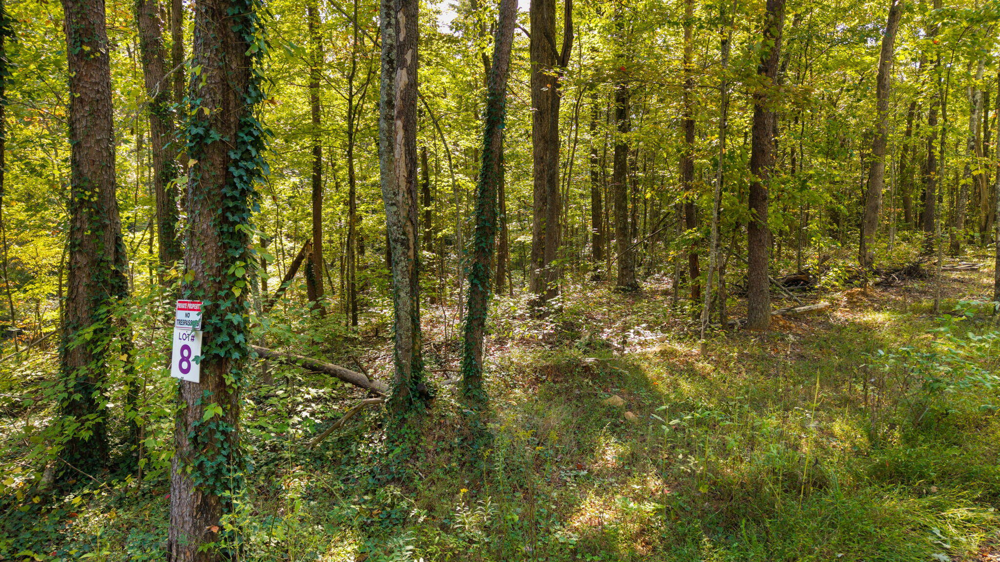 0 Baggett Trail, Lot 8