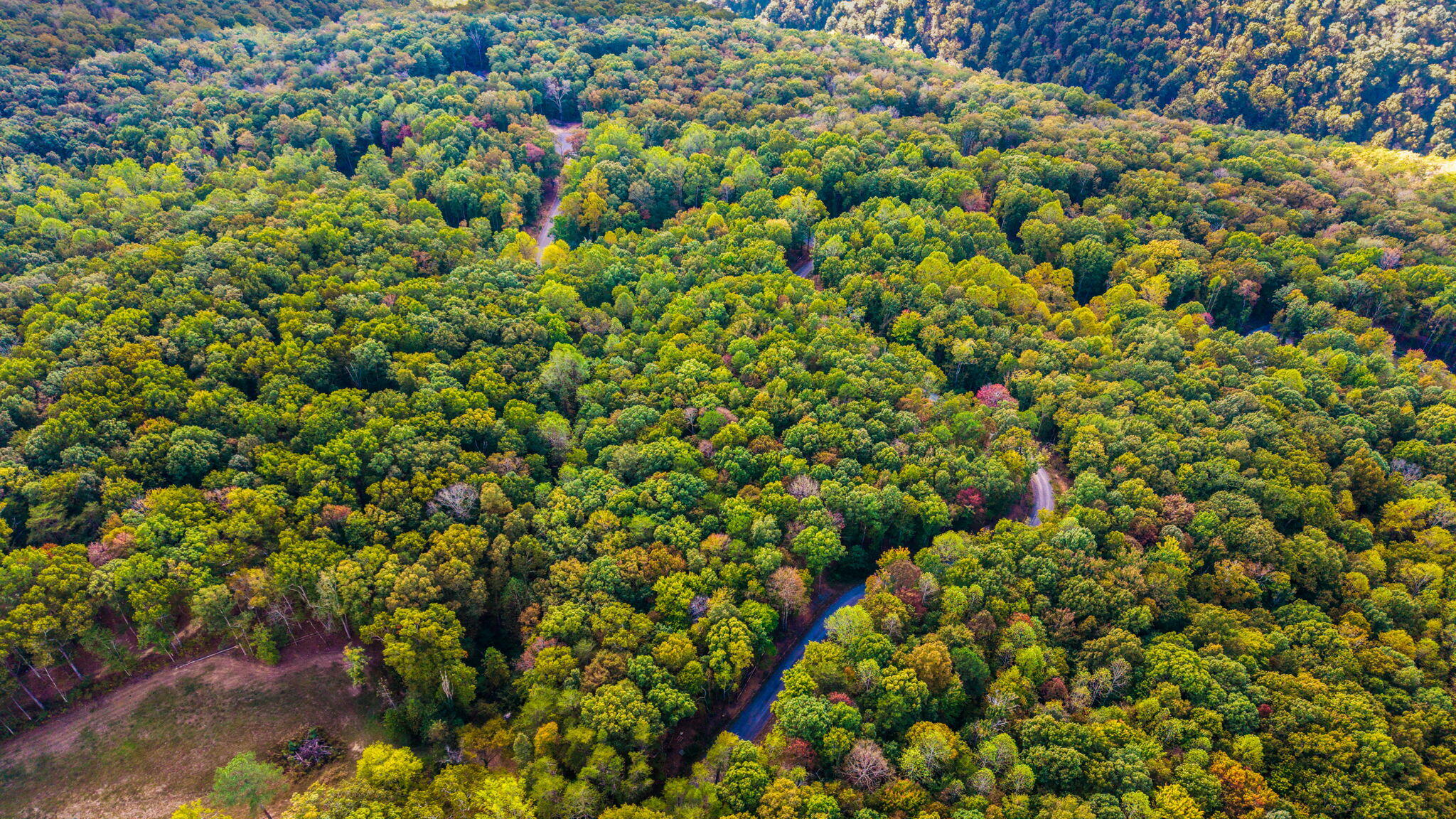 0 Baggett Trail, Lot 8