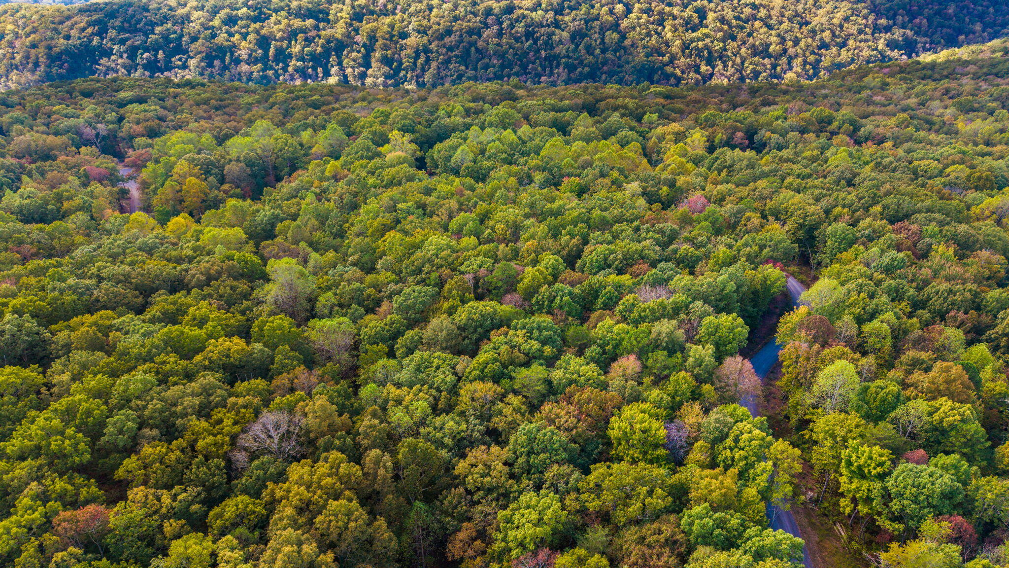 0 Baggett Trail, Lot 8