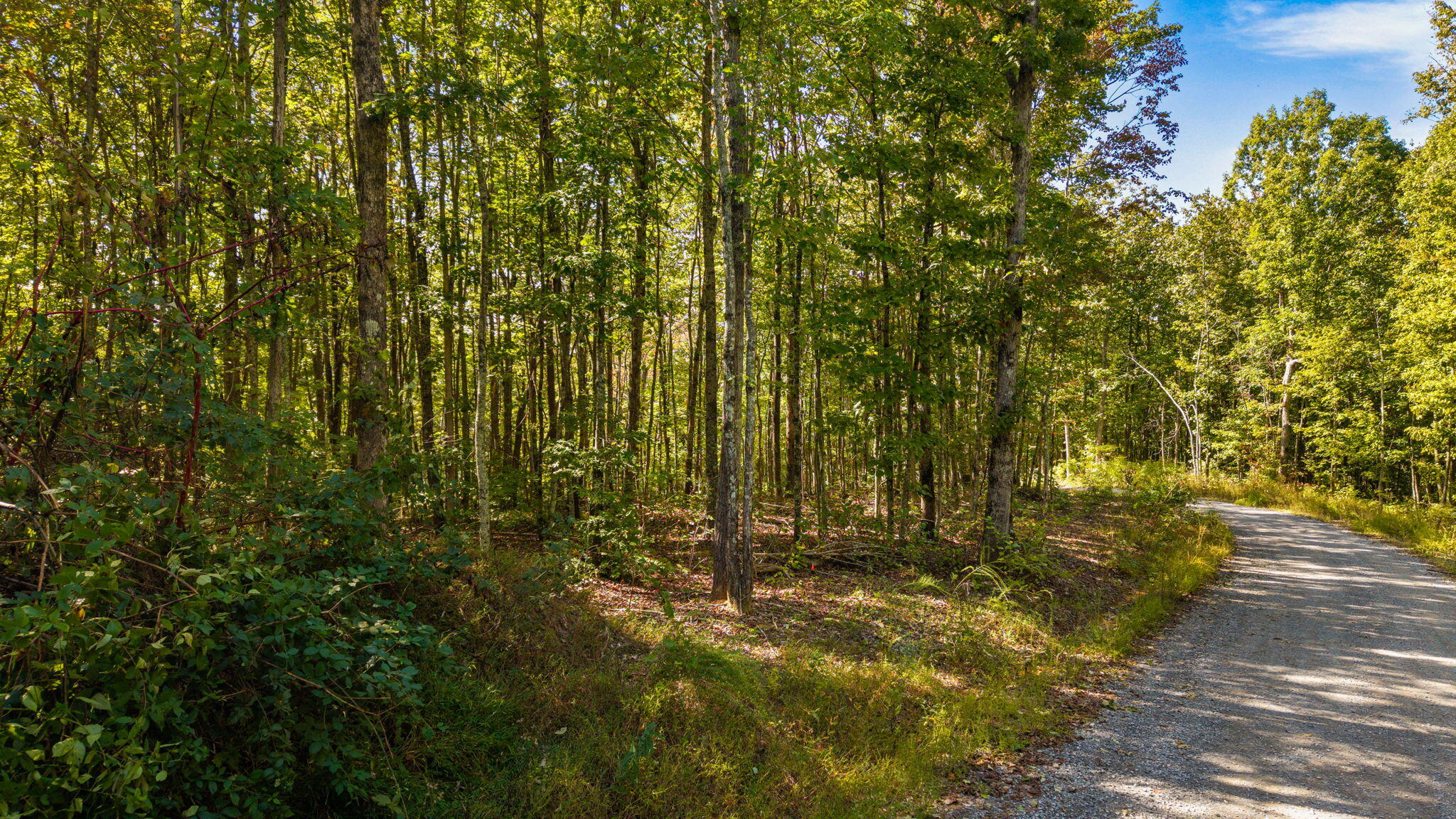 0 Baggett Trail, Lot 8