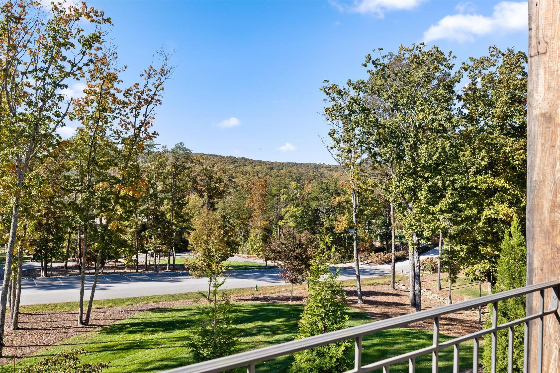 8085 Mountain Laurel Trail, 71
