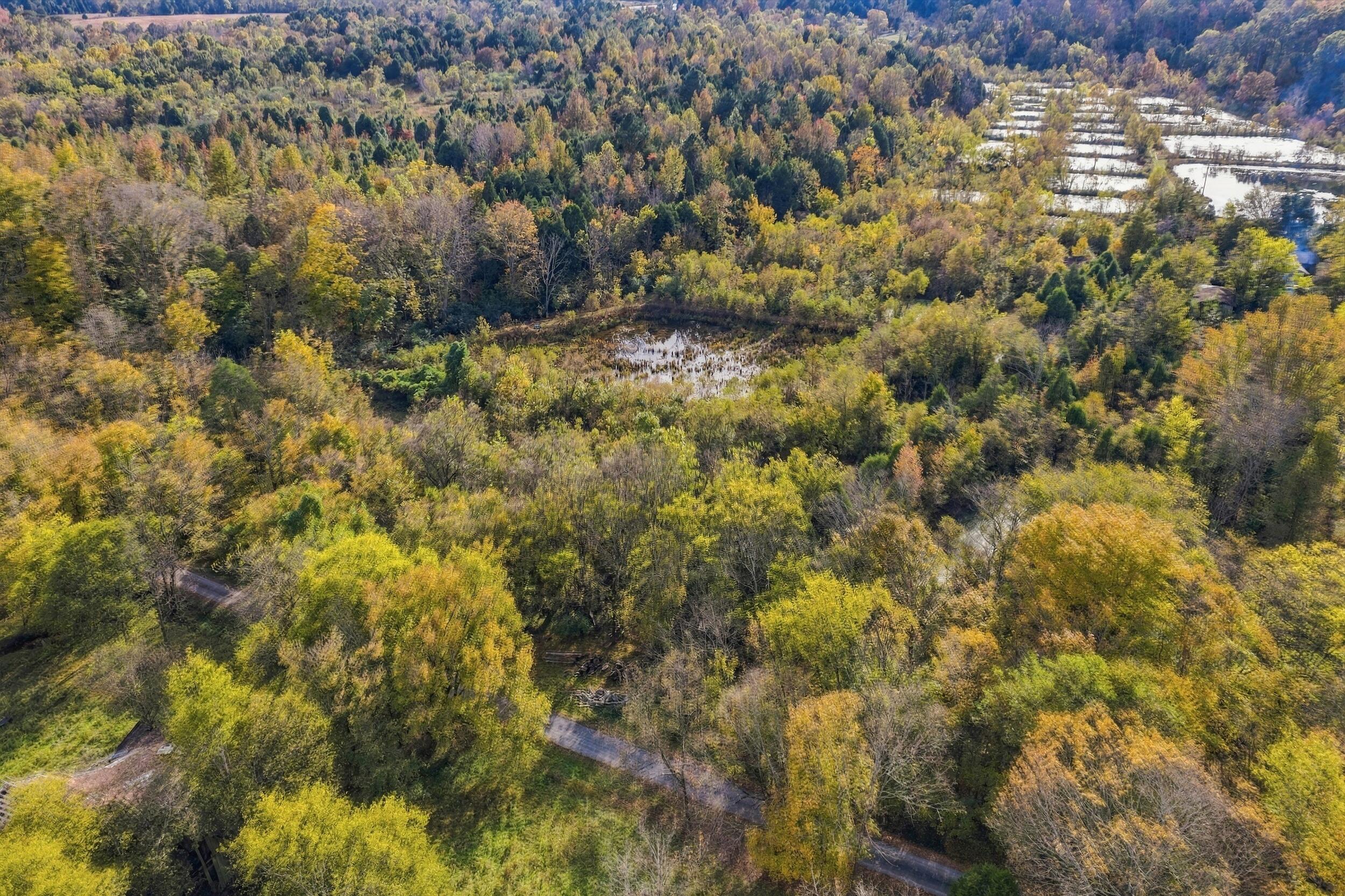 796 Muddy Creek Road