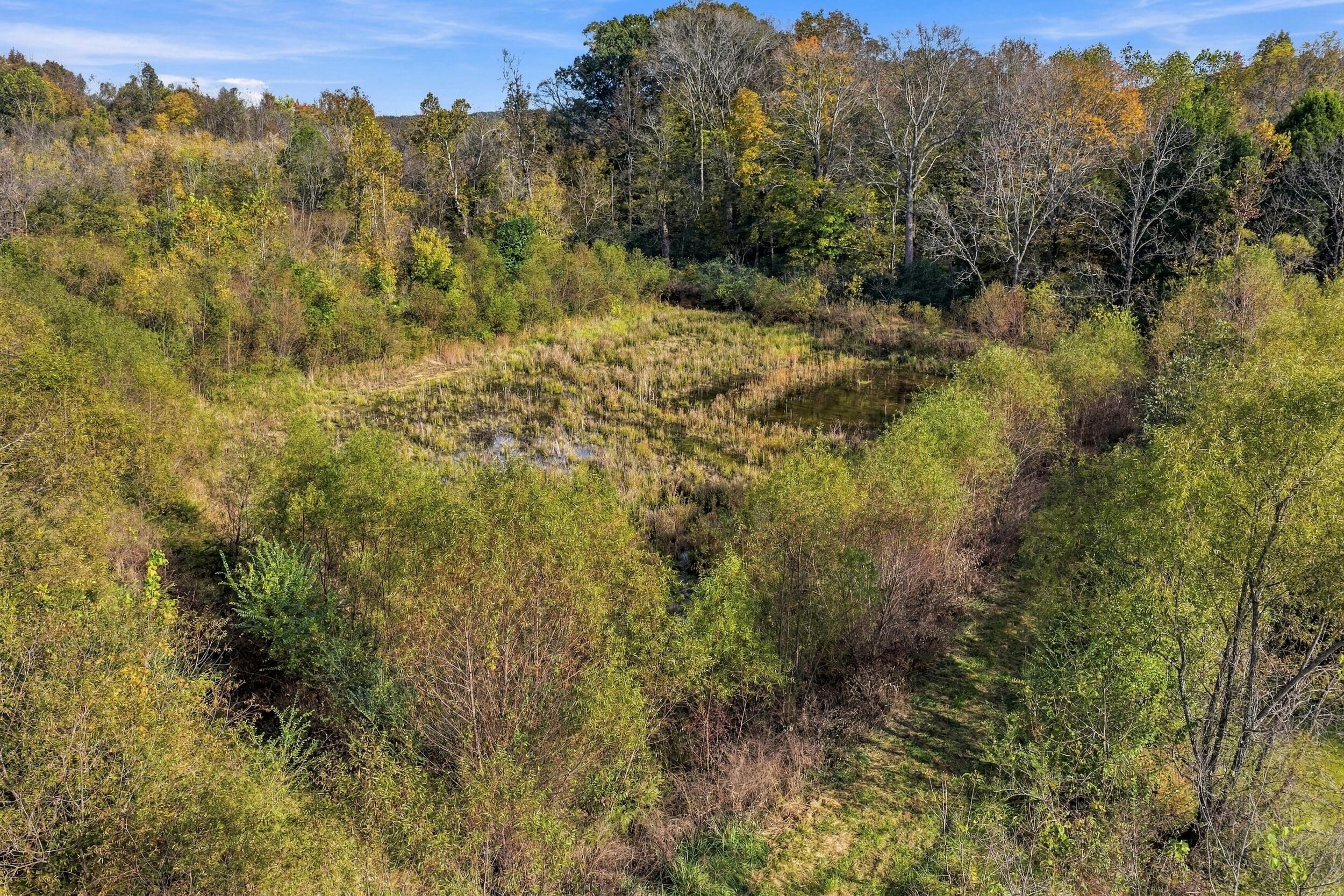 796 Muddy Creek Road