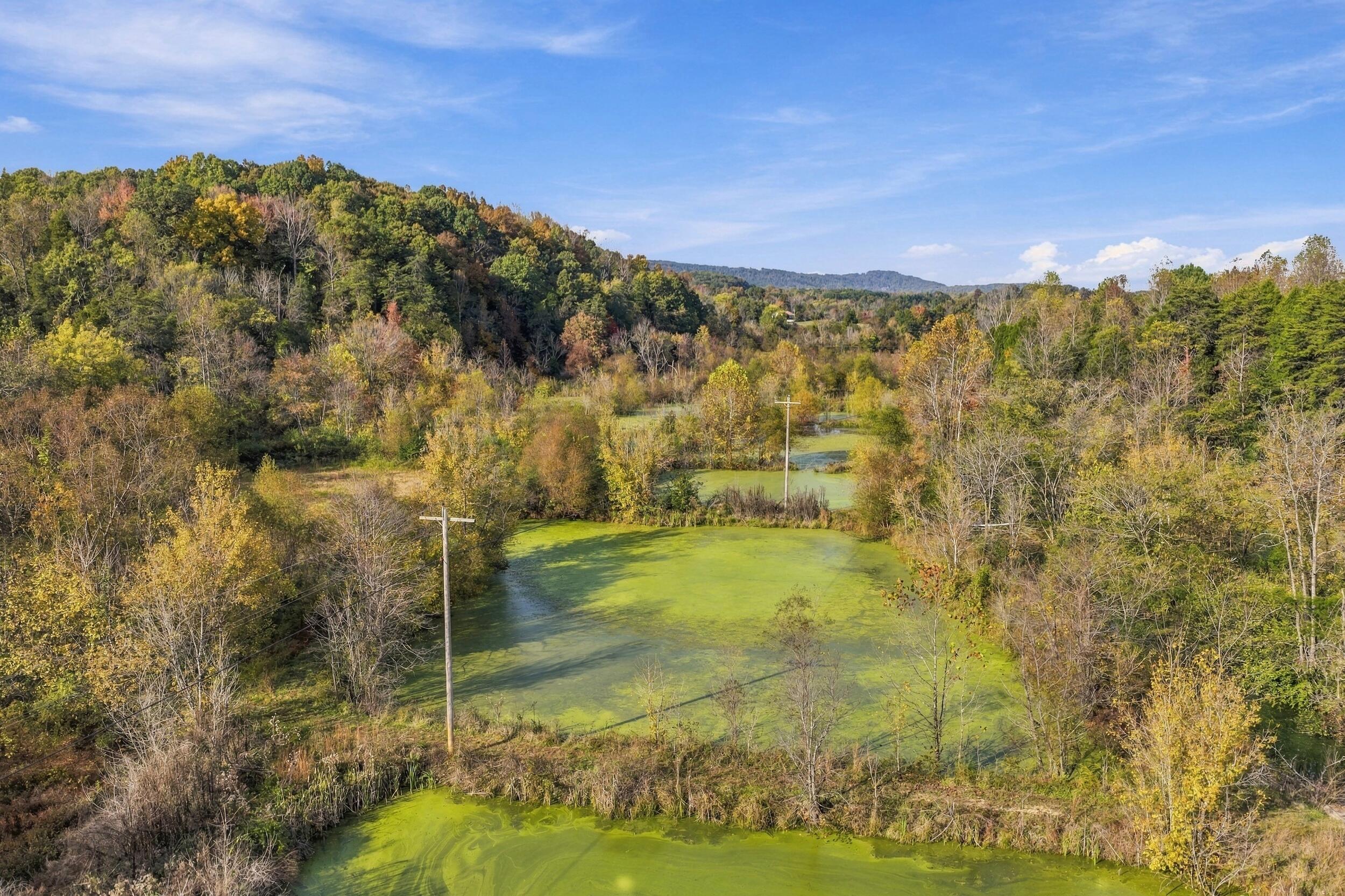 796 Muddy Creek Road
