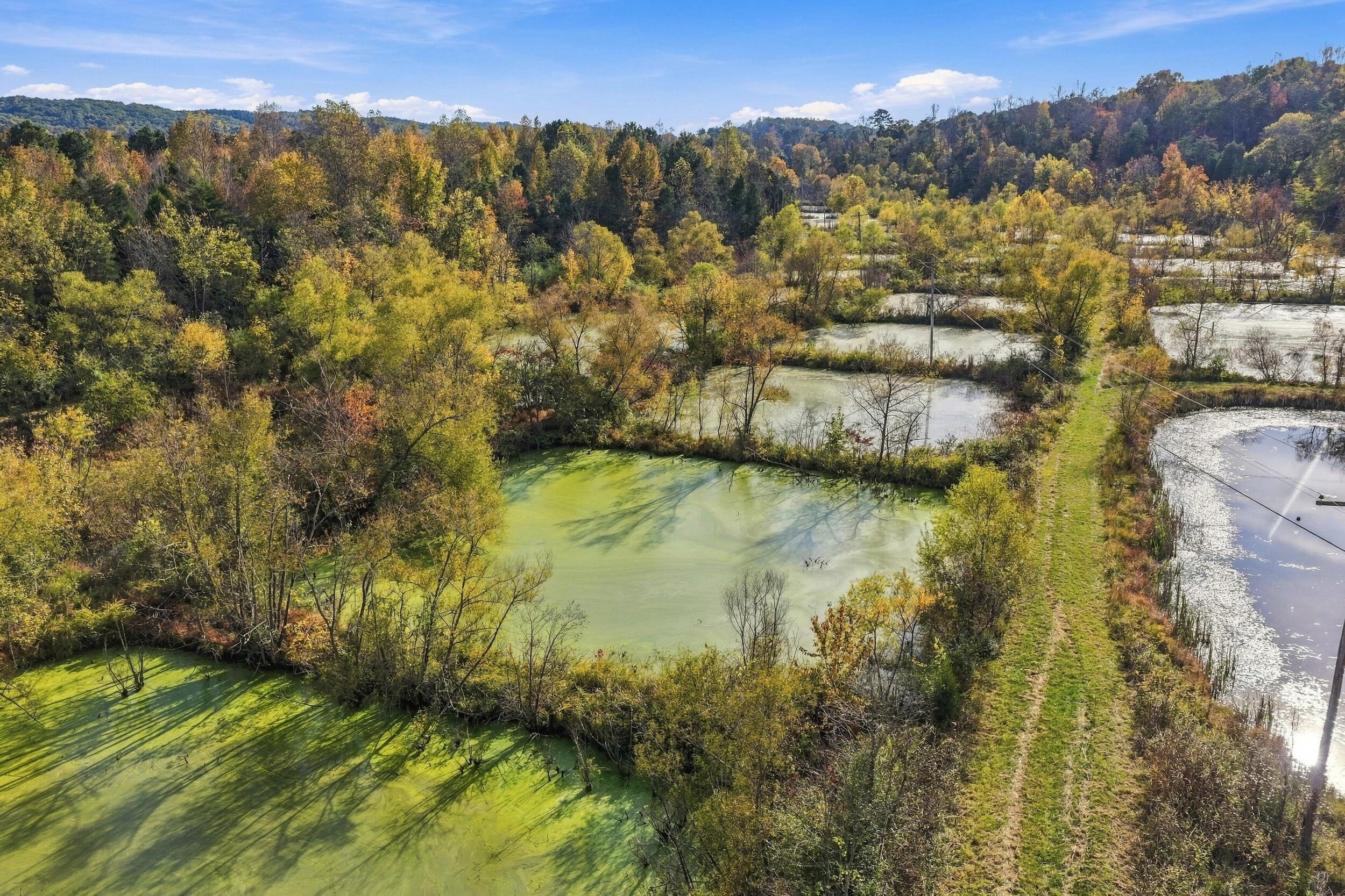 796 Muddy Creek Road