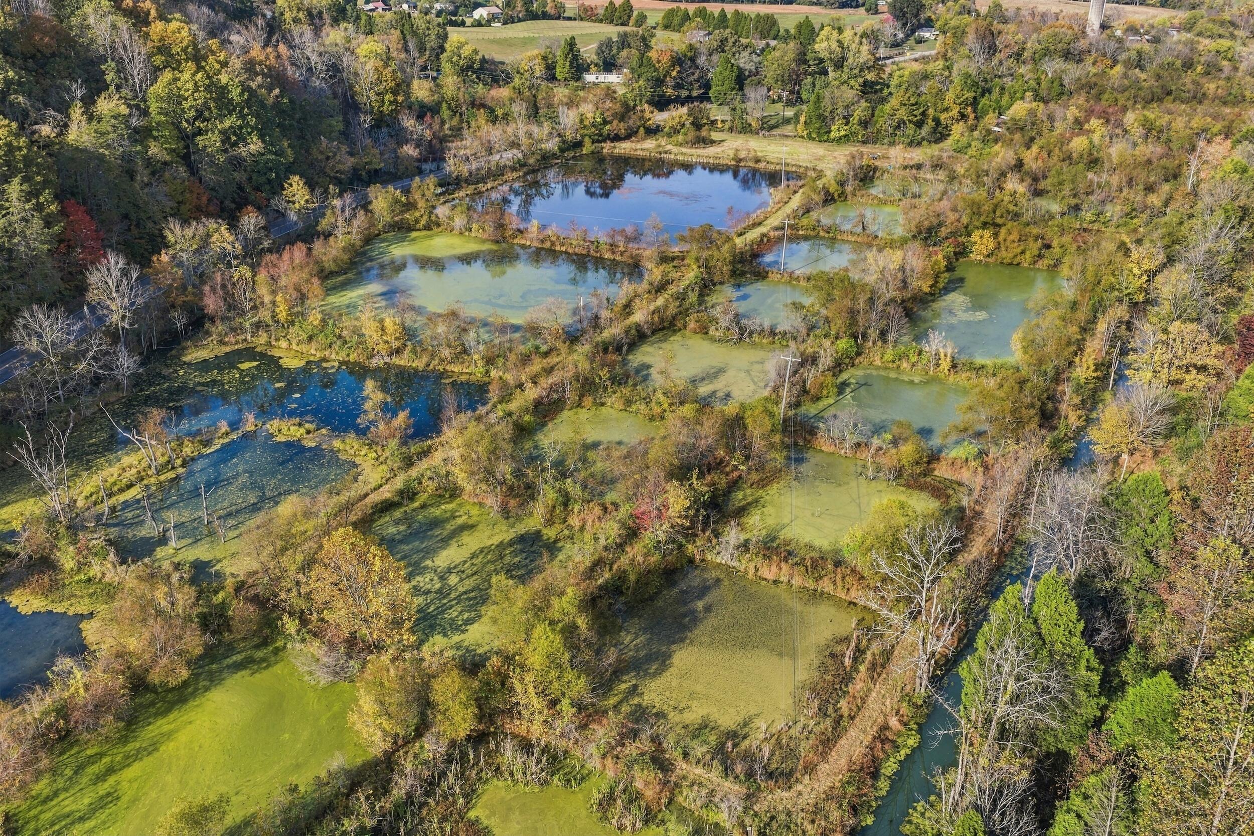 796 Muddy Creek Road