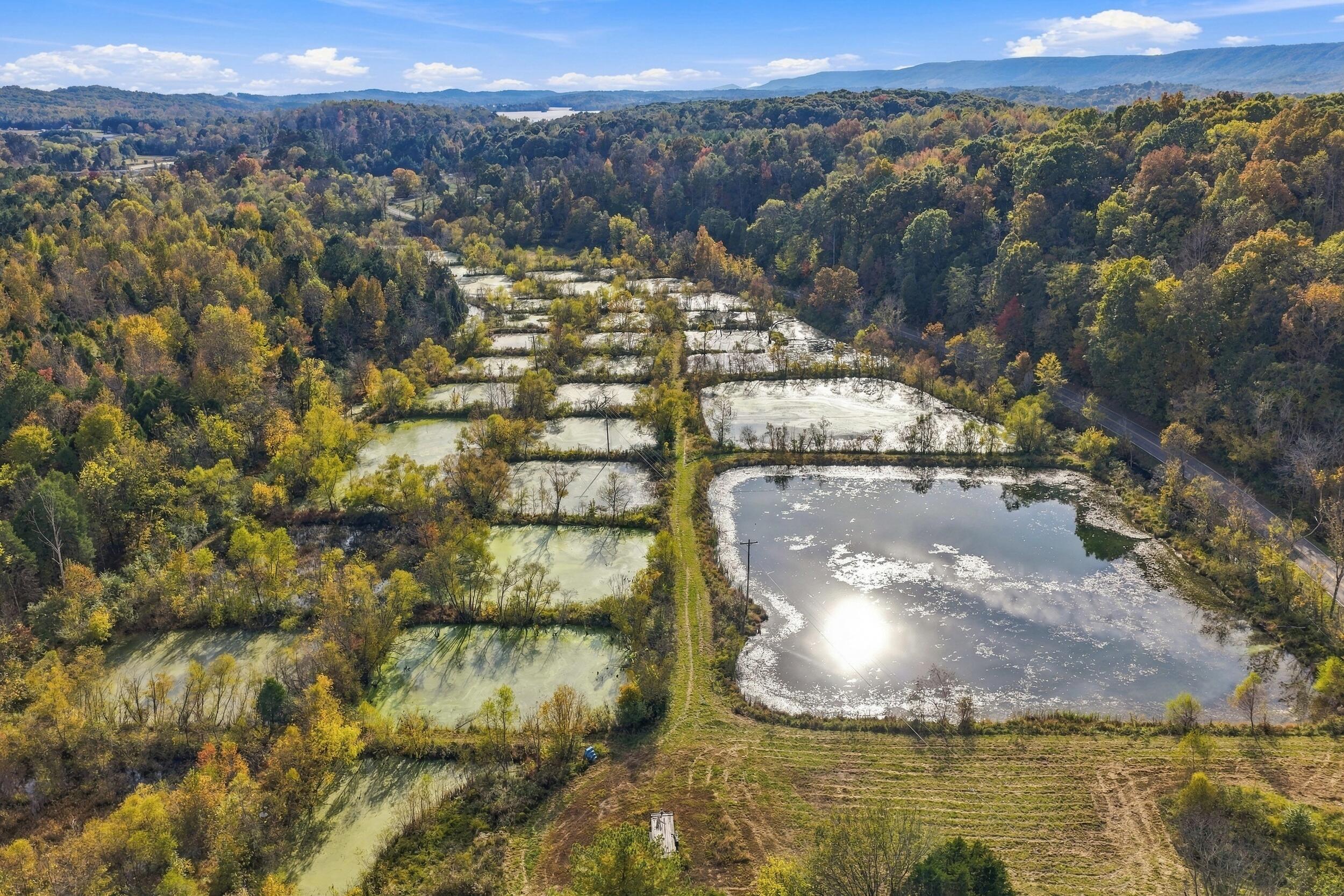796 Muddy Creek Road