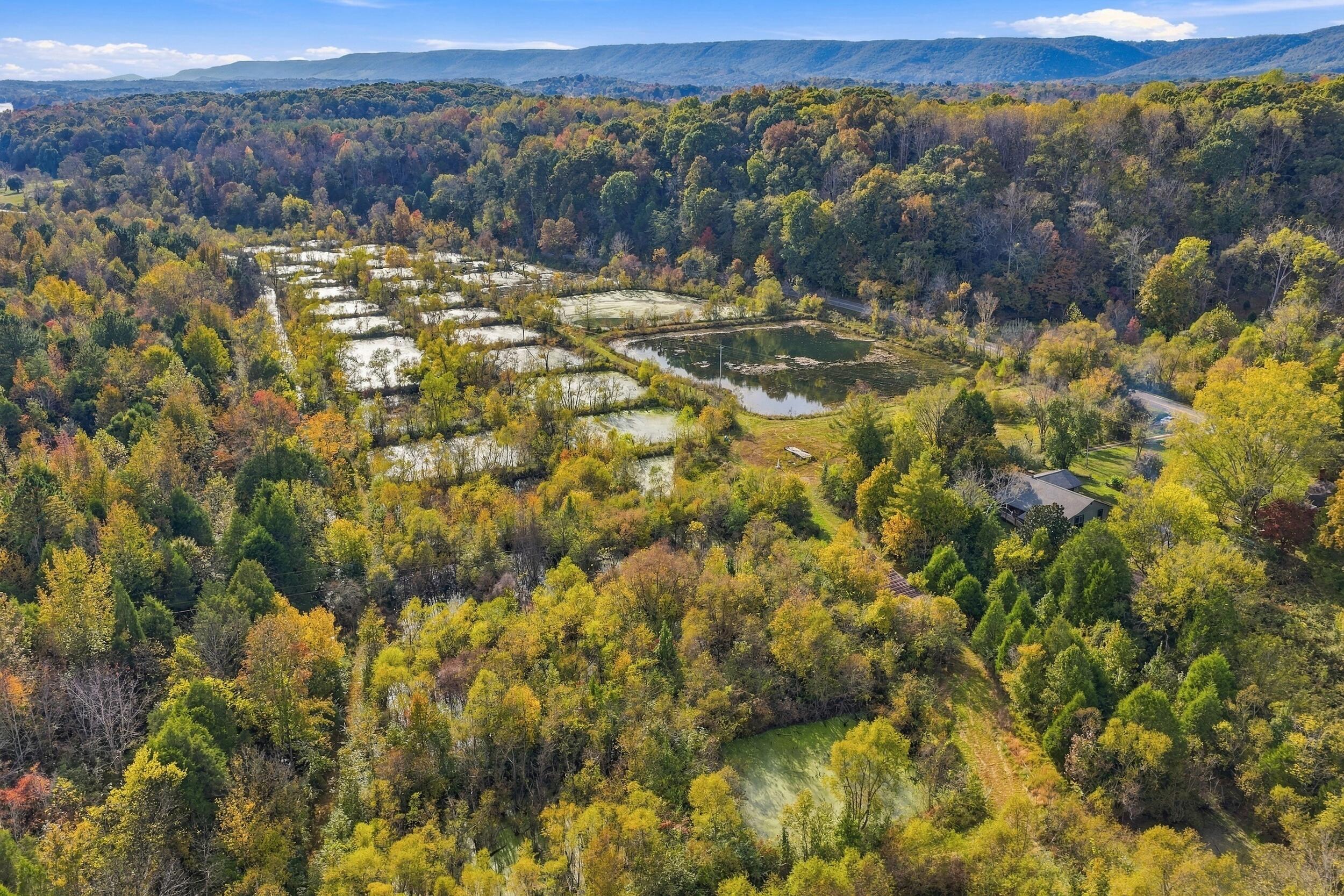 796 Muddy Creek Road