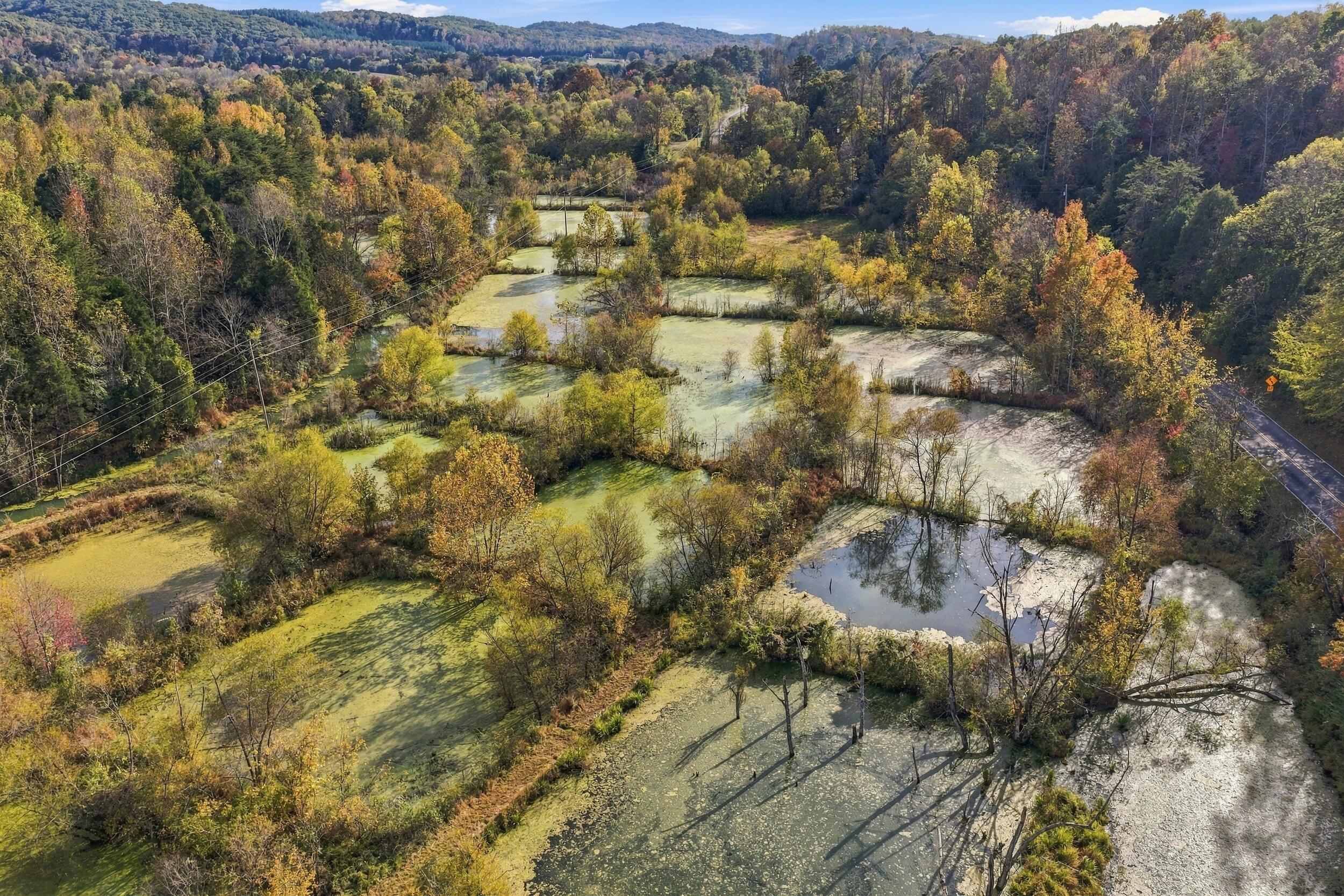 796 Muddy Creek Road