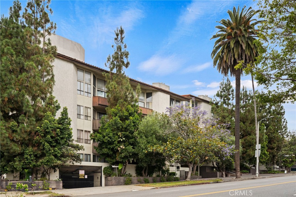 1277 South Beverly Glen Boulevard 205