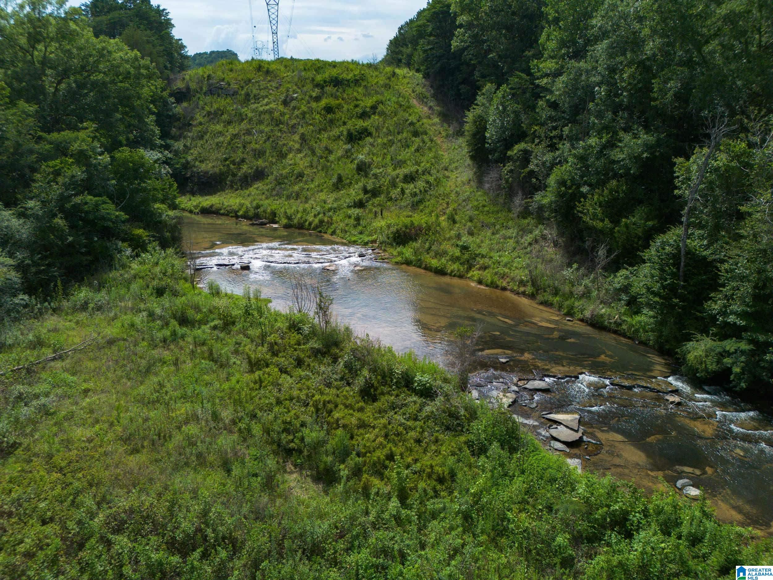 7286 CHERRY DRIVE 123 Acres