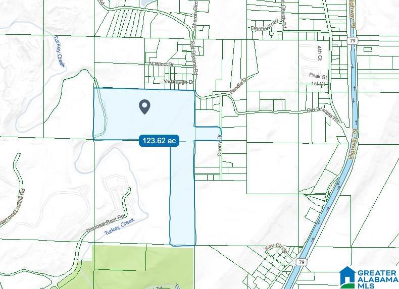 7286 CHERRY DRIVE 123 Acres