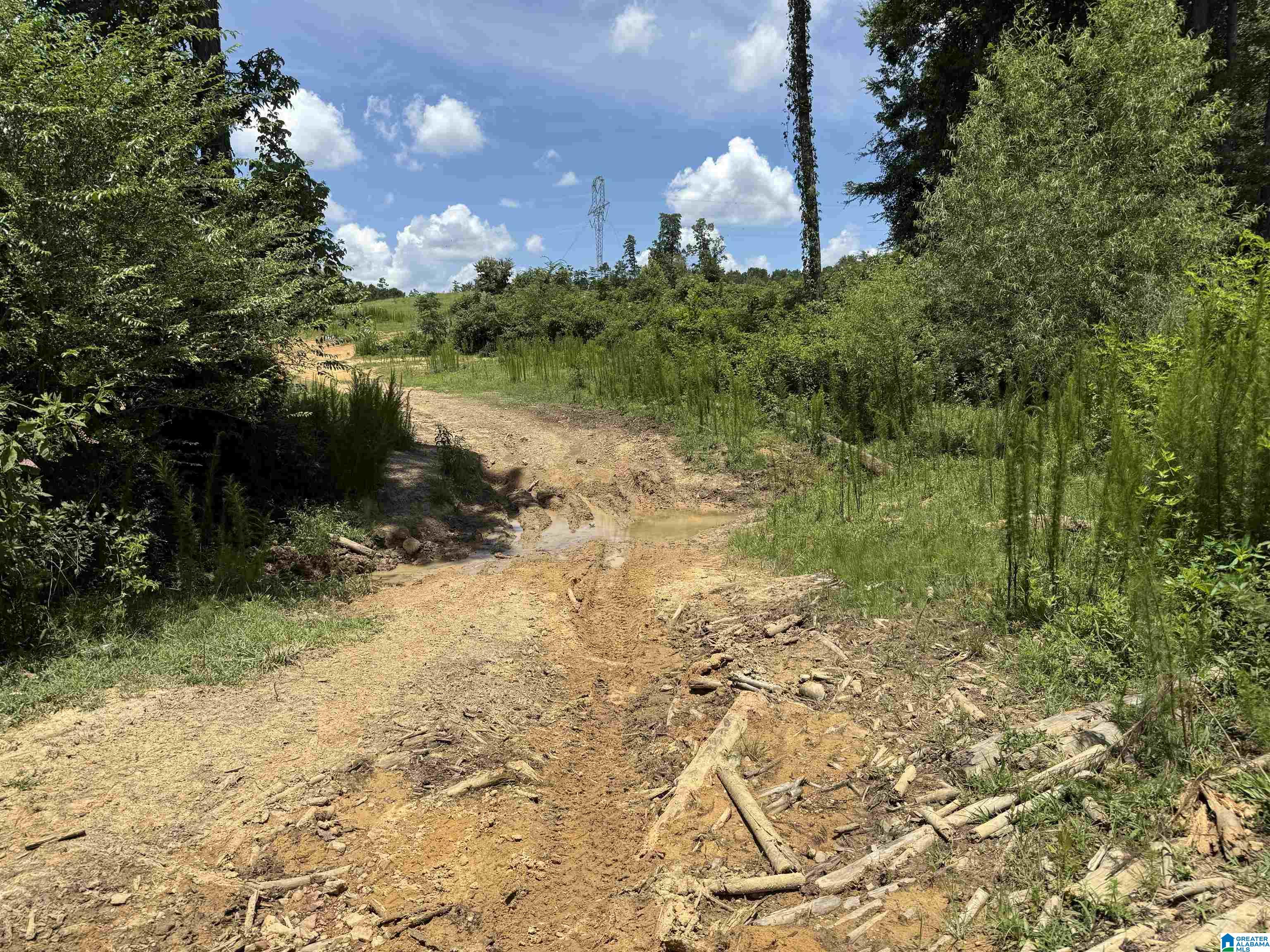 7286 CHERRY DRIVE 123 Acres