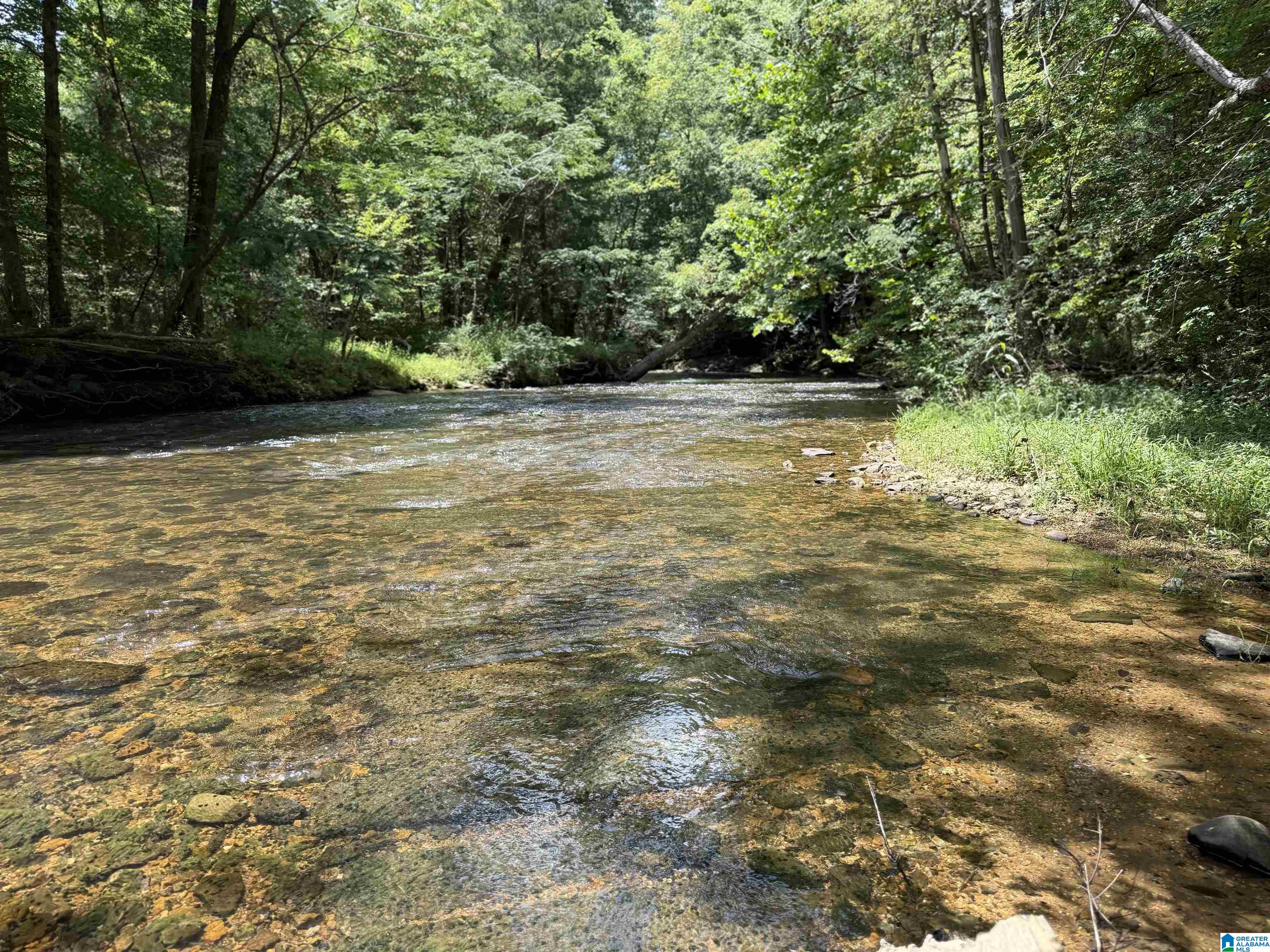 7286 CHERRY DRIVE 123 Acres