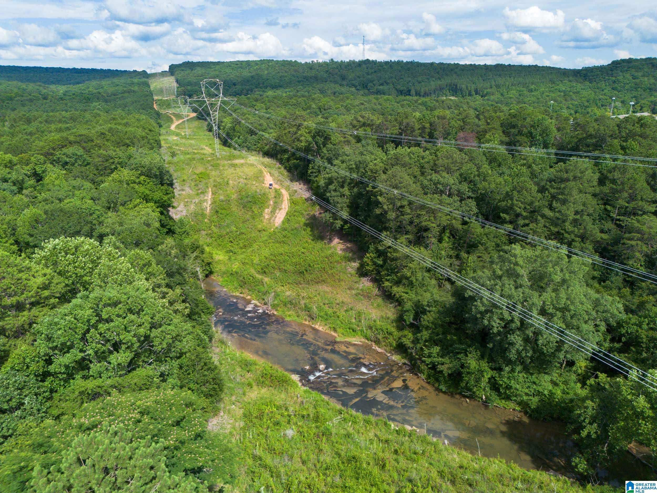 7286 CHERRY DRIVE 123 Acres