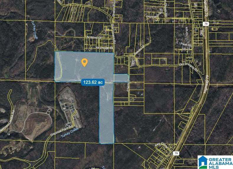 7286 CHERRY DRIVE 123 Acres