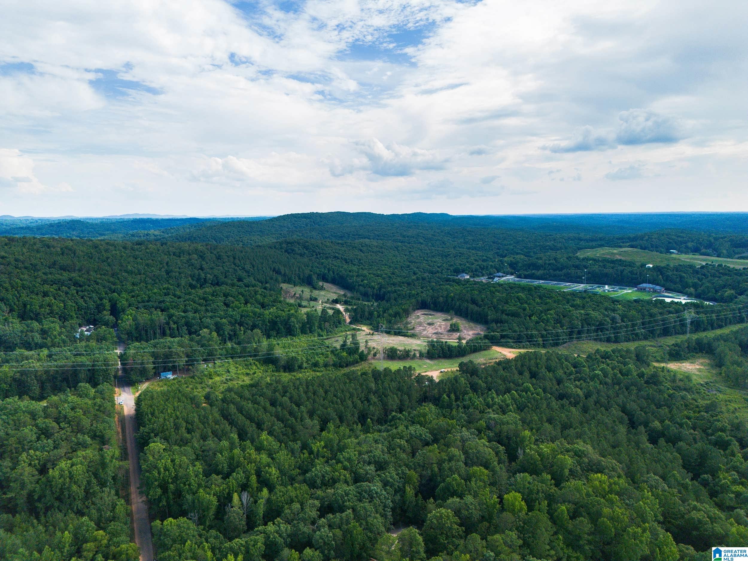 7286 CHERRY DRIVE 123 Acres