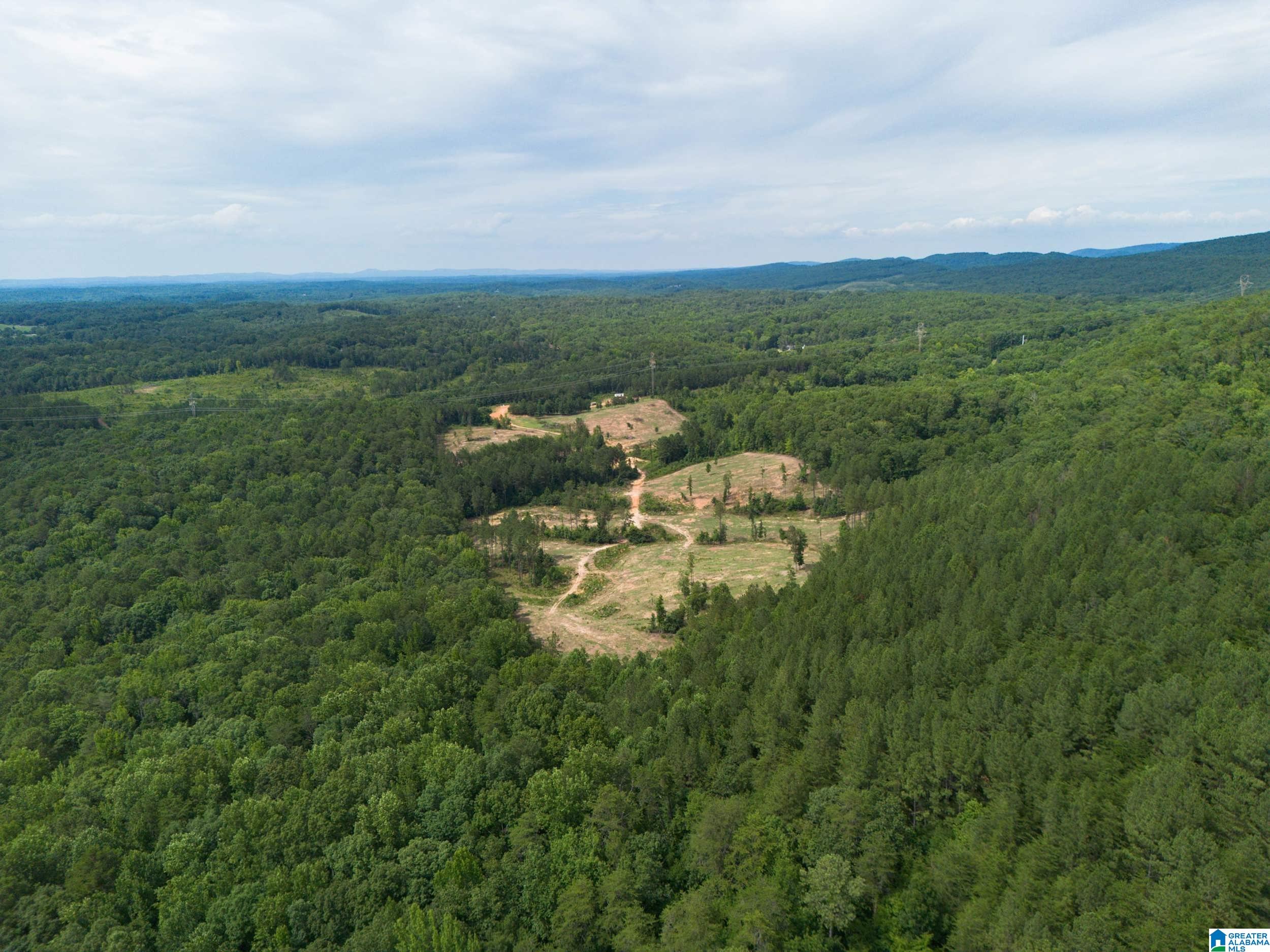 7286 CHERRY DRIVE 123 Acres