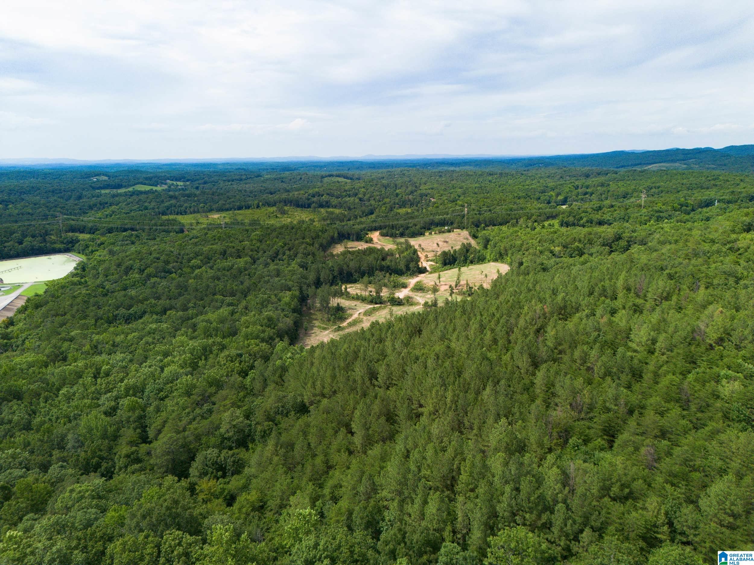 7286 CHERRY DRIVE 123 Acres