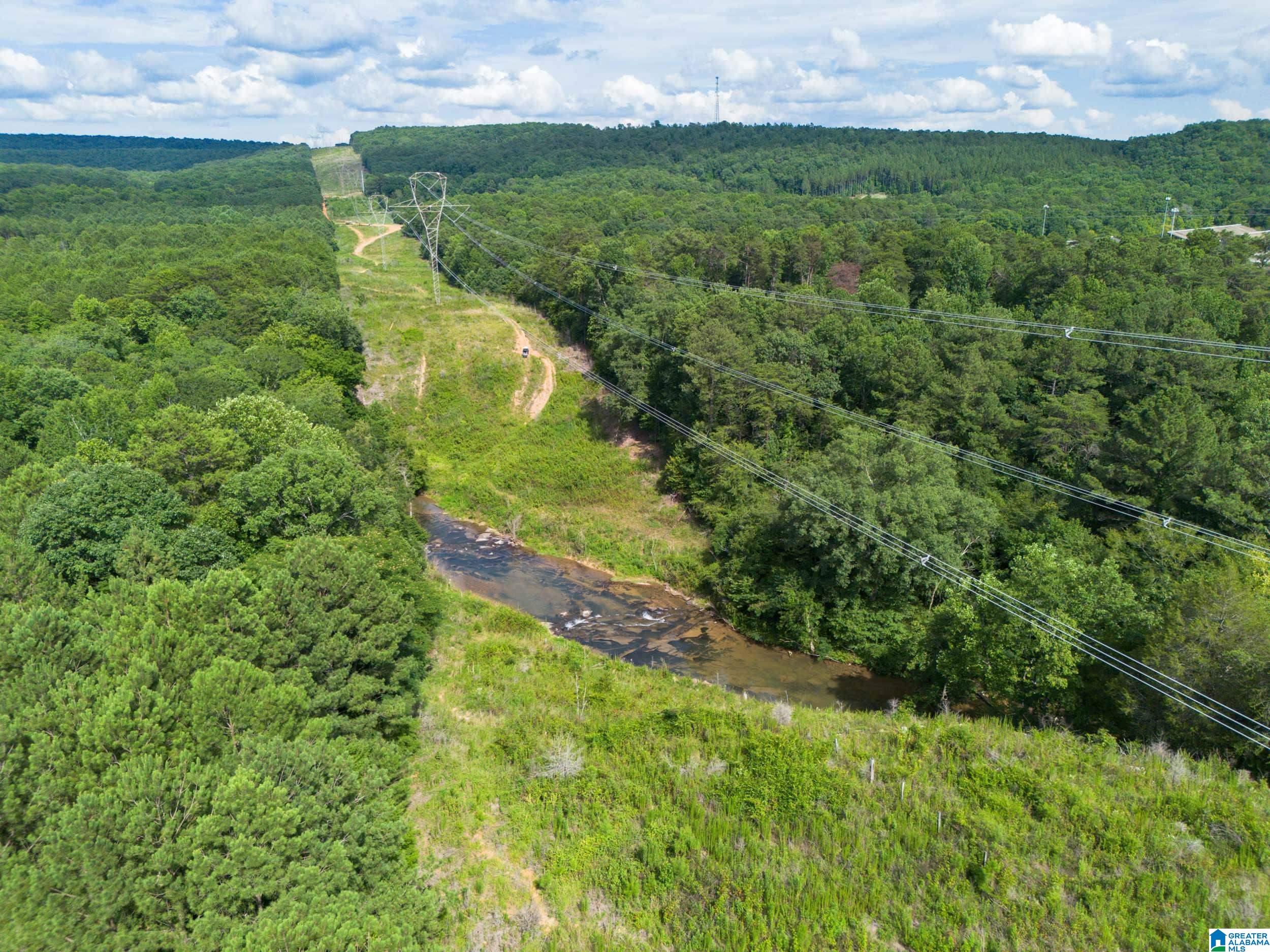 7286 CHERRY DRIVE 123 Acres