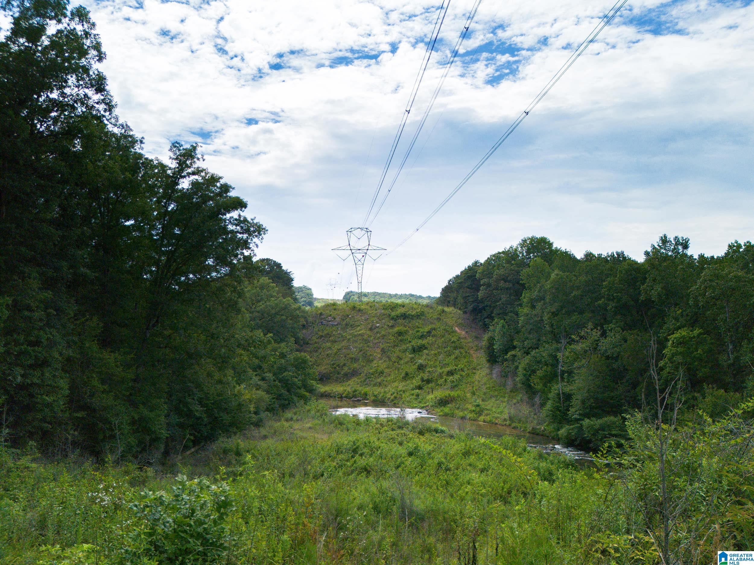 7286 CHERRY DRIVE 123 Acres