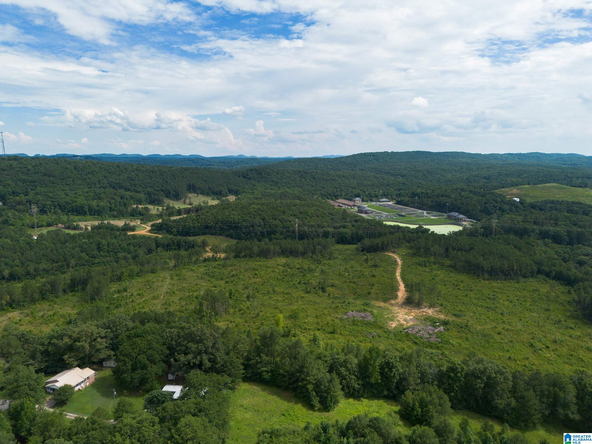 7286 CHERRY DRIVE 123 Acres