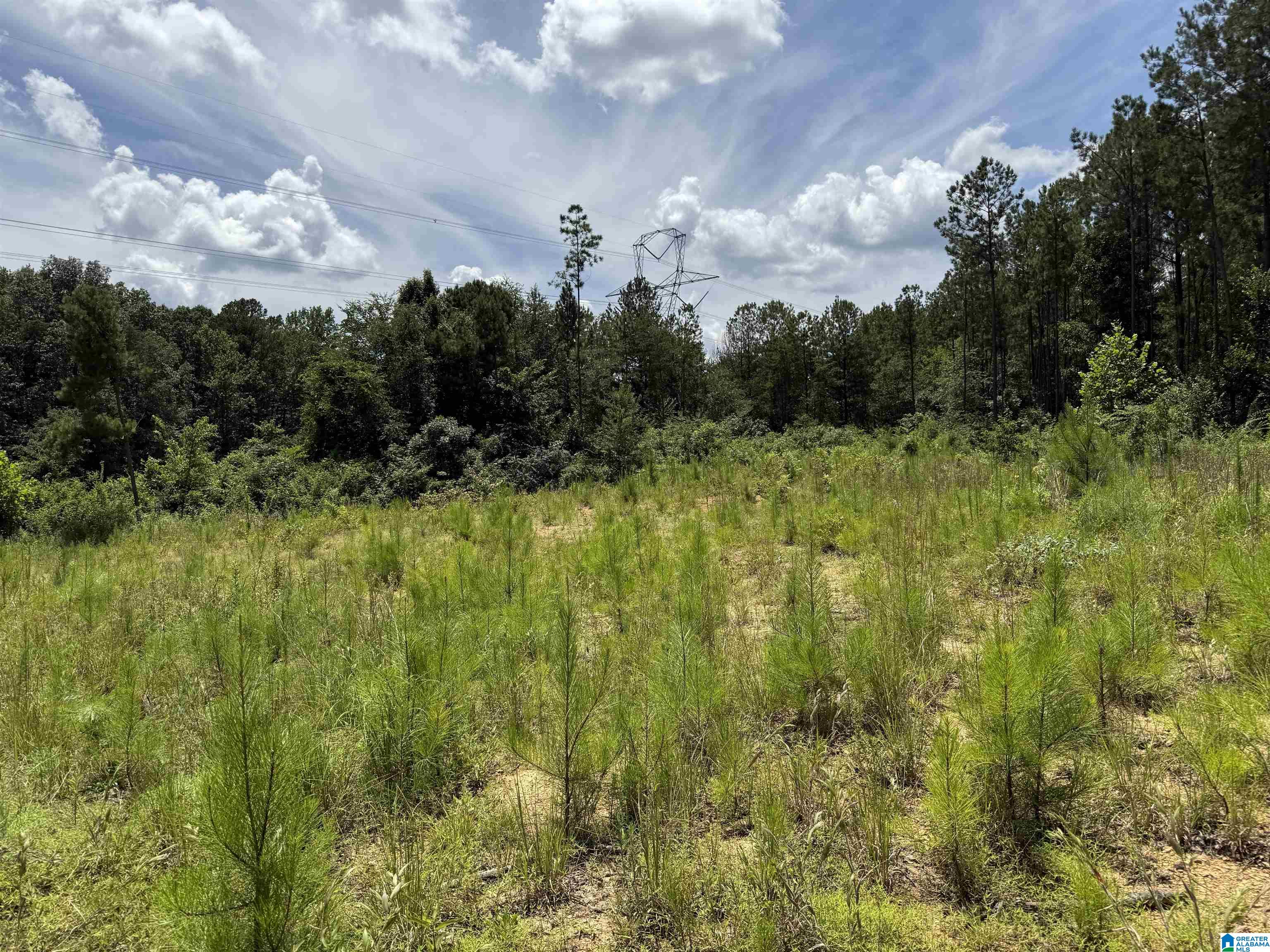 7286 CHERRY DRIVE 123 Acres