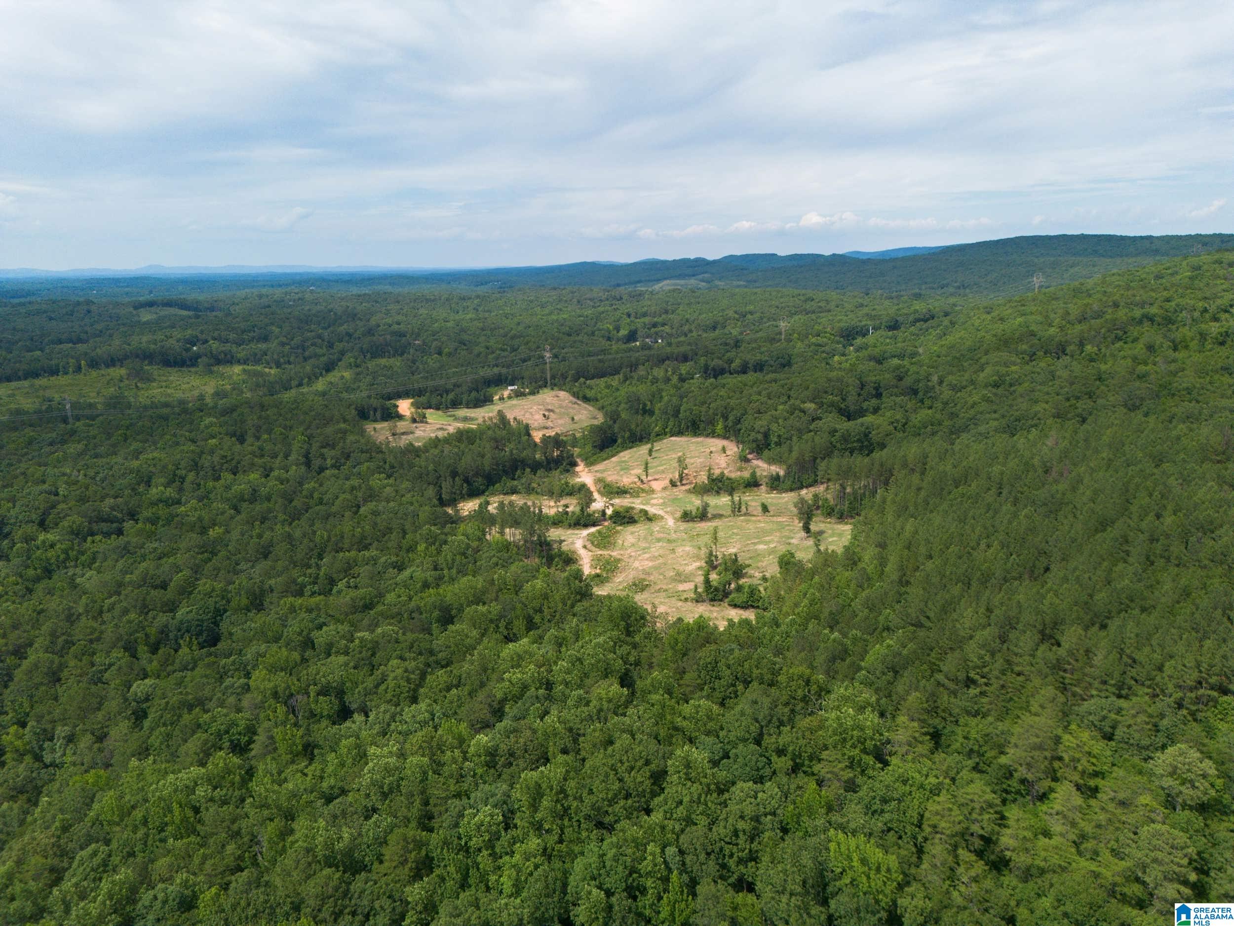 7286 CHERRY DRIVE 123 Acres