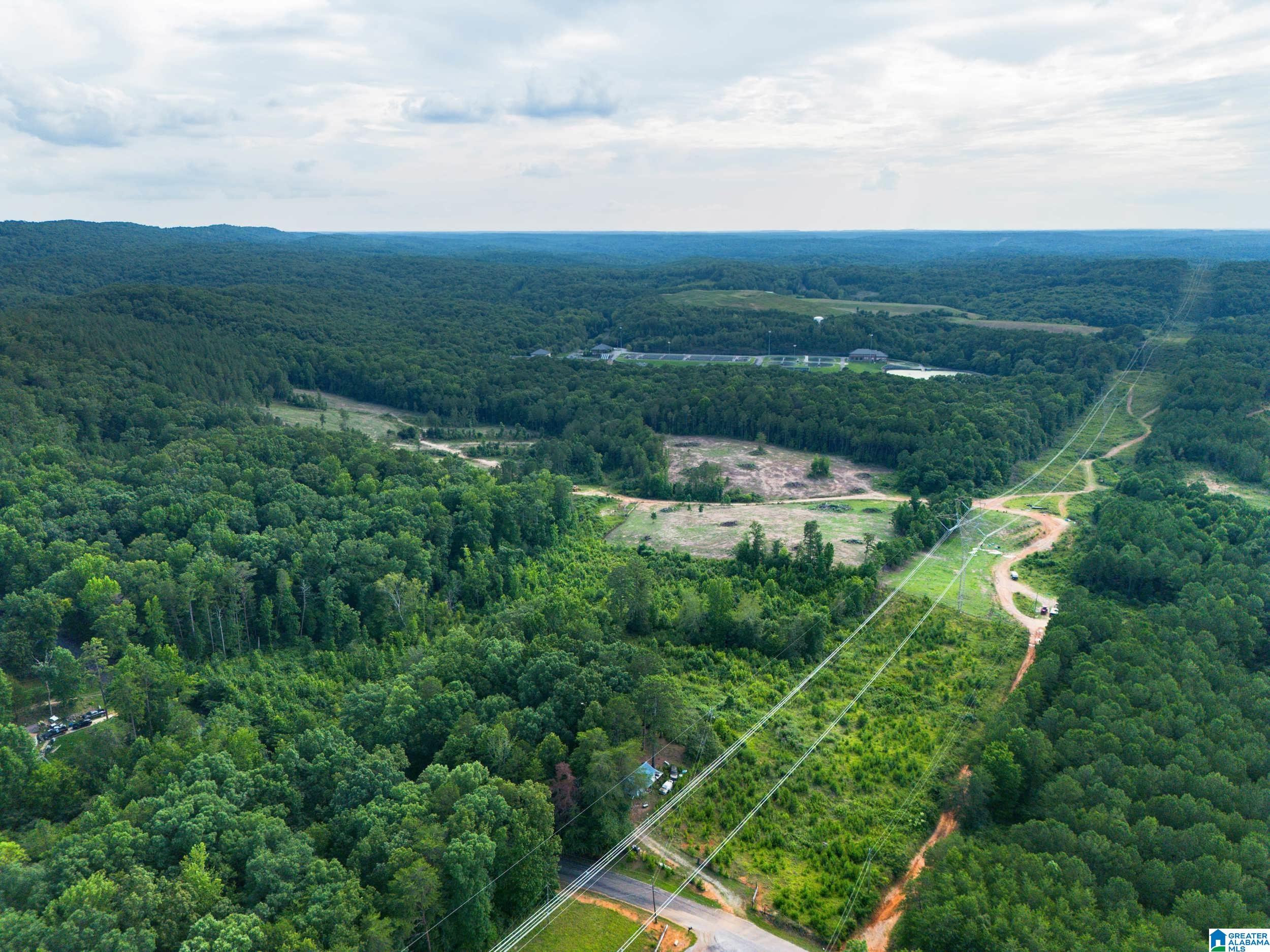 7286 CHERRY DRIVE 123 Acres