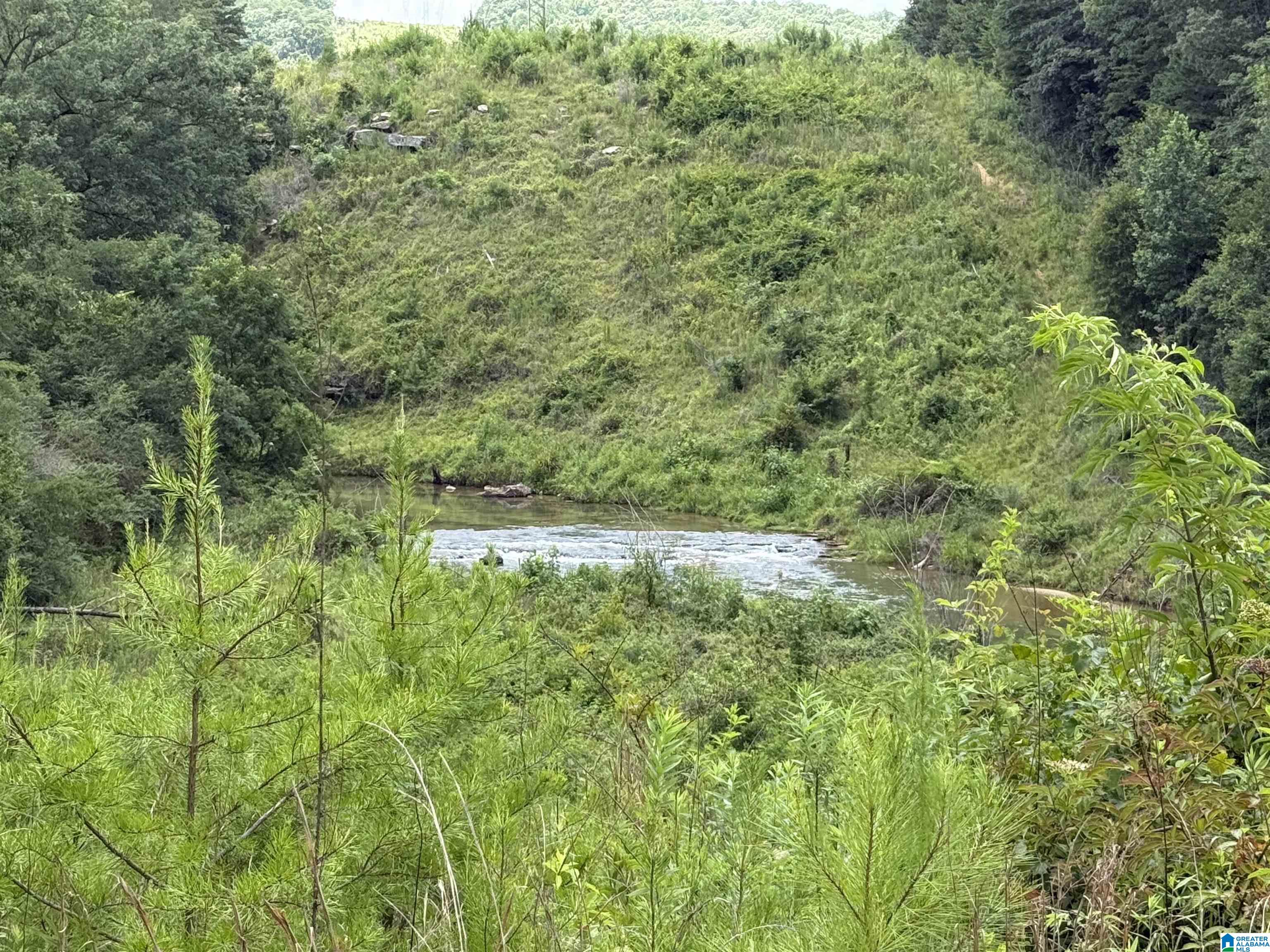 7286 CHERRY DRIVE 123 Acres