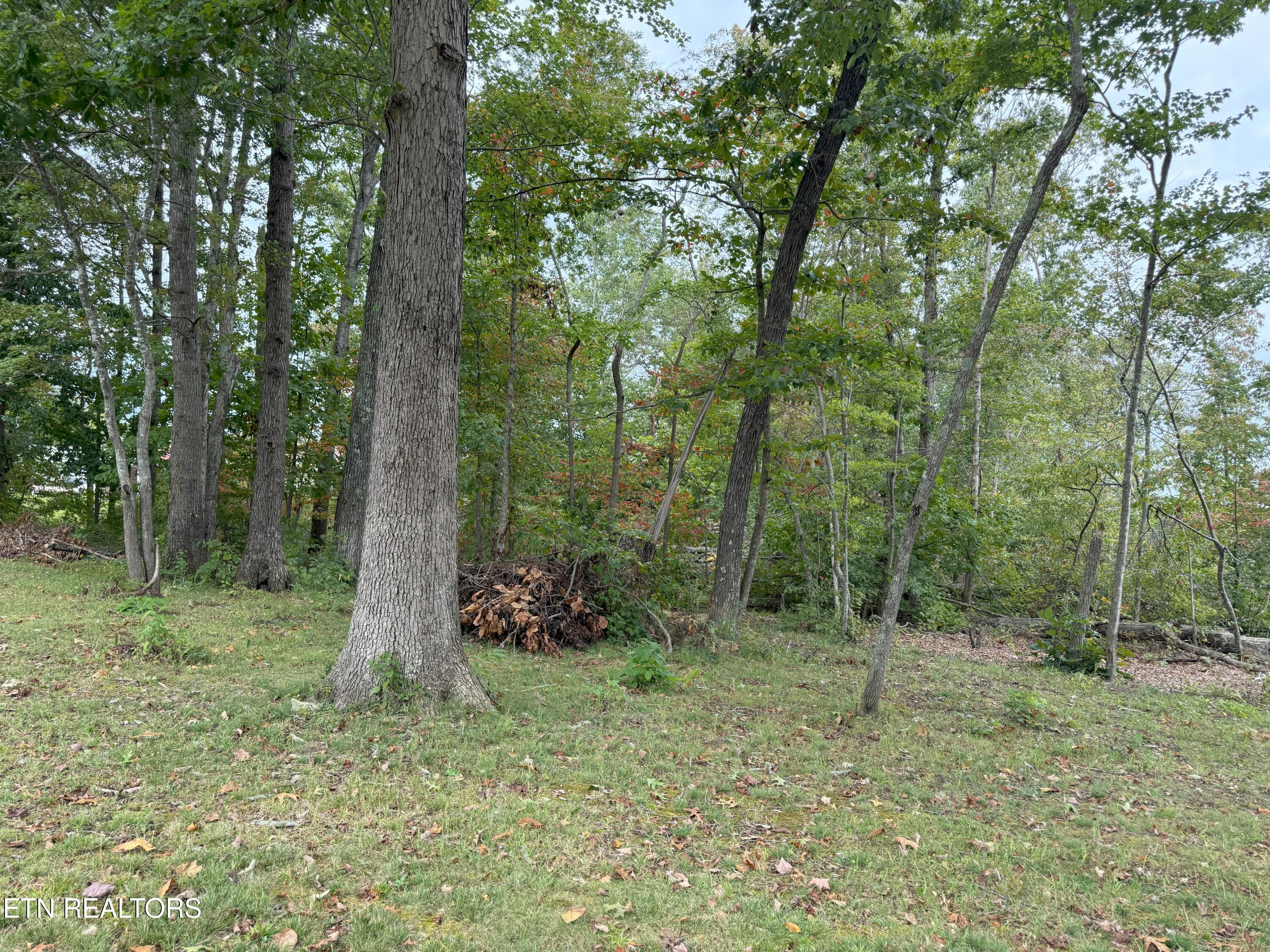 6105 S South York Hwy