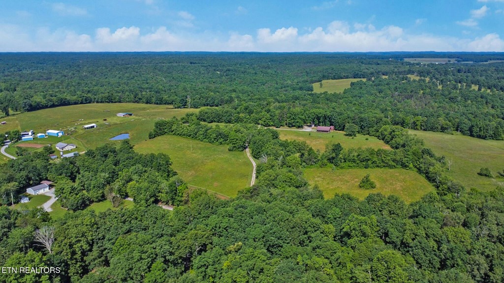 40 Diamond Padgett Lane