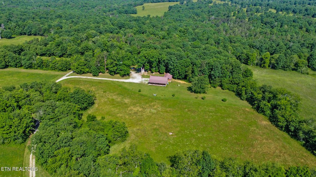 40 Diamond Padgett Lane