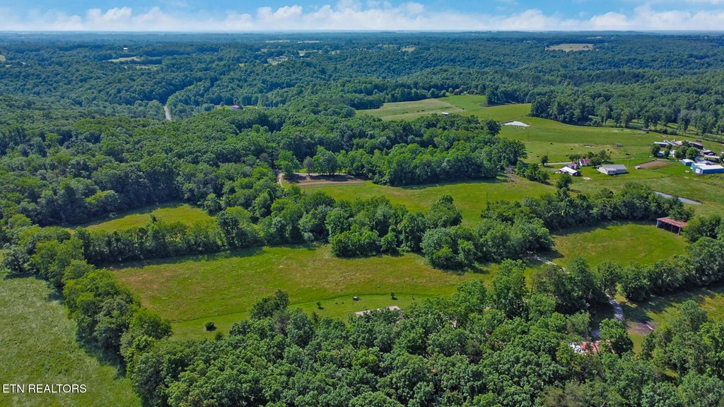 40 Diamond Padgett Lane