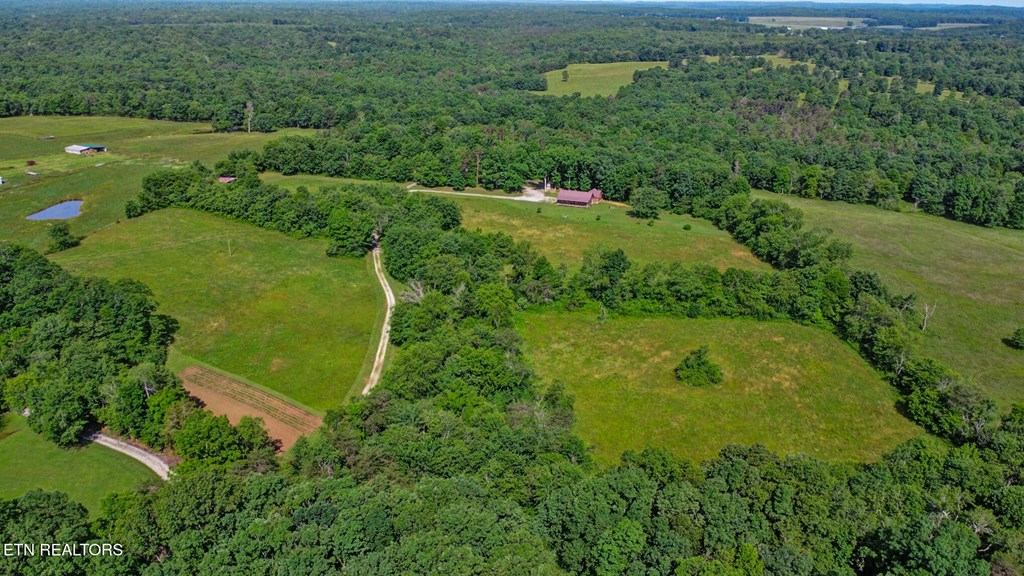 40 Diamond Padgett Lane