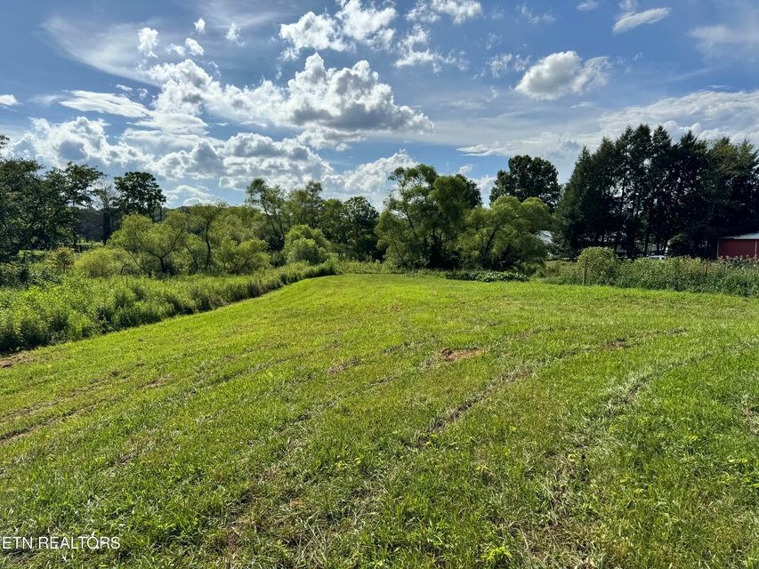 1353 Roy Owens Rd