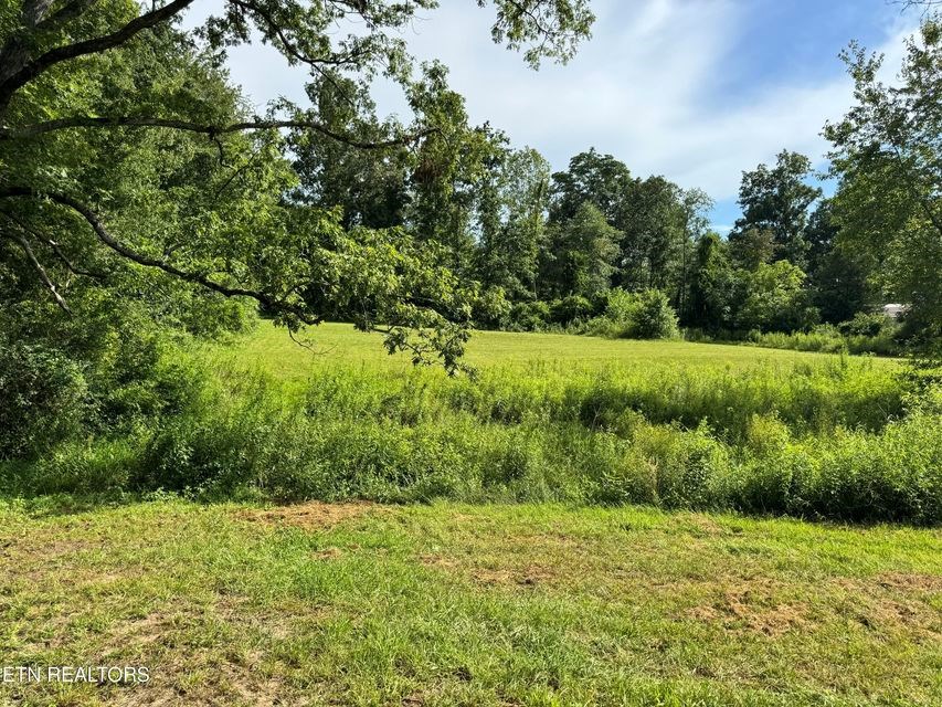 1353 Roy Owens Rd