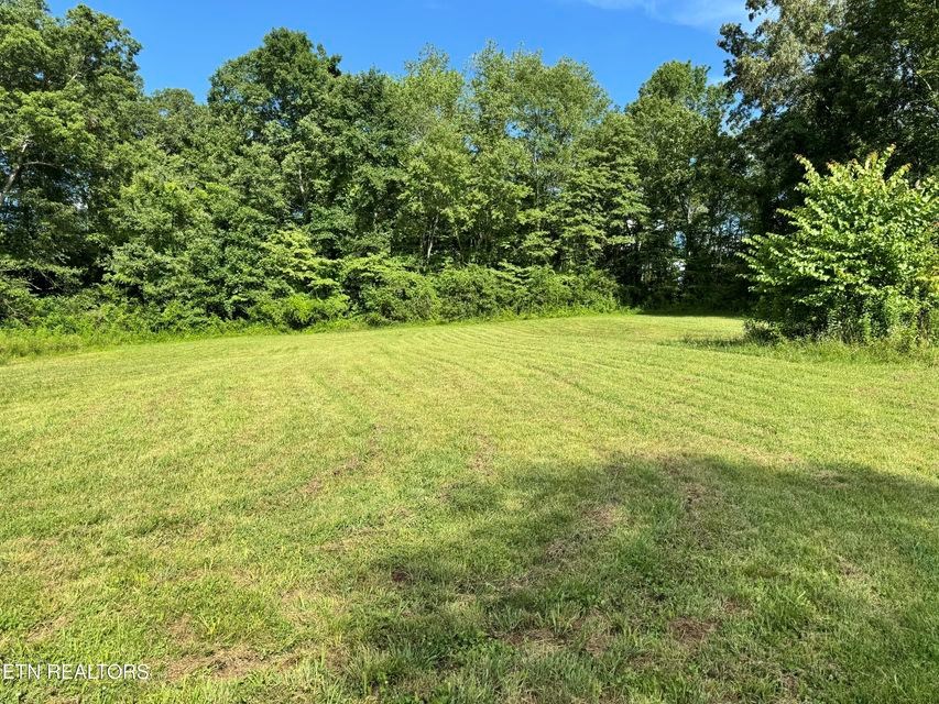 1353 Roy Owens Rd