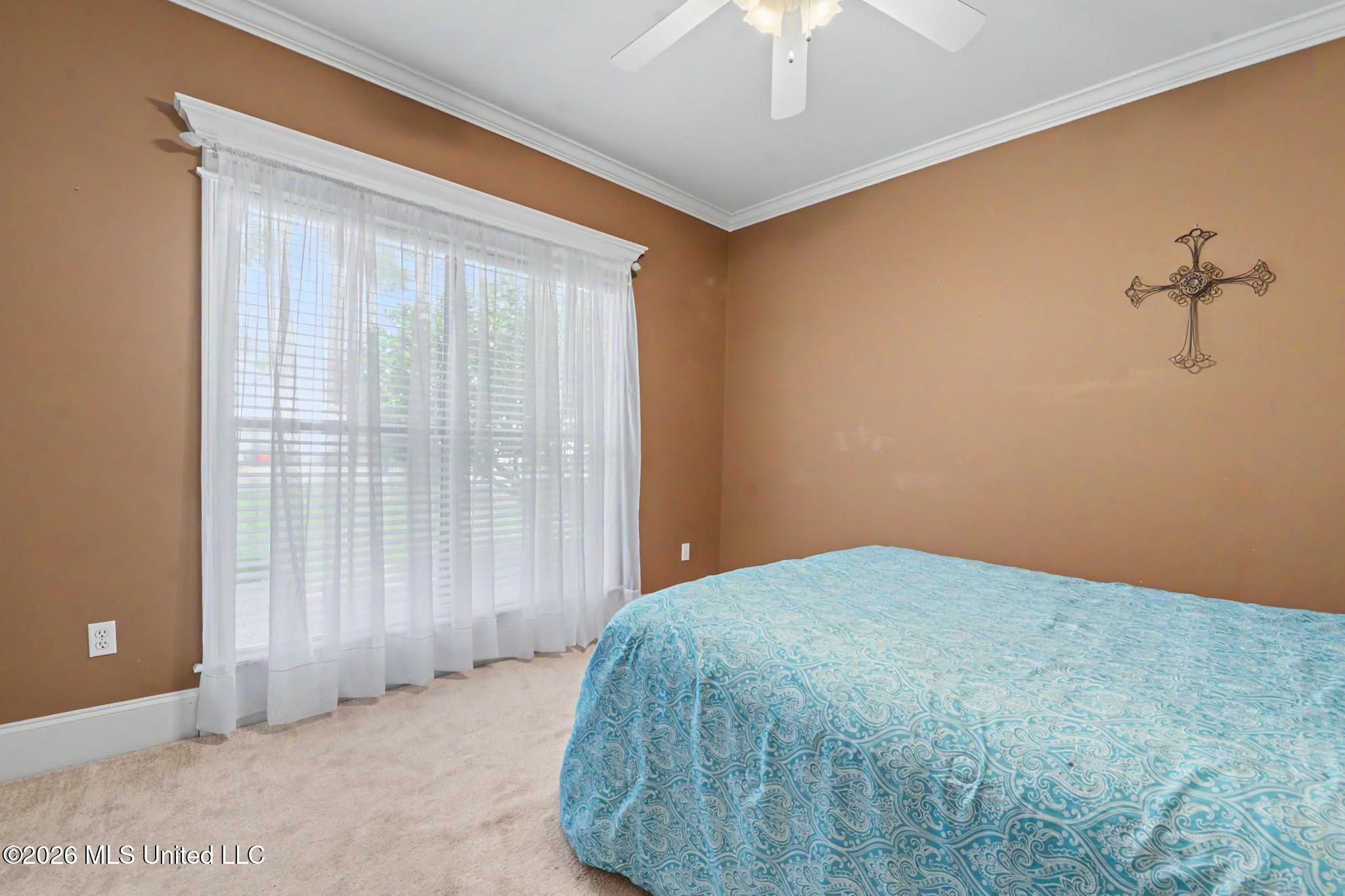 720 Oleander Lane