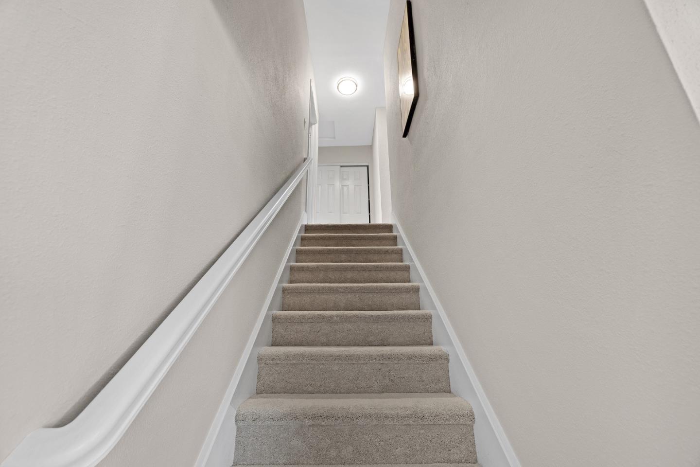 163 Rodrigues AVE
