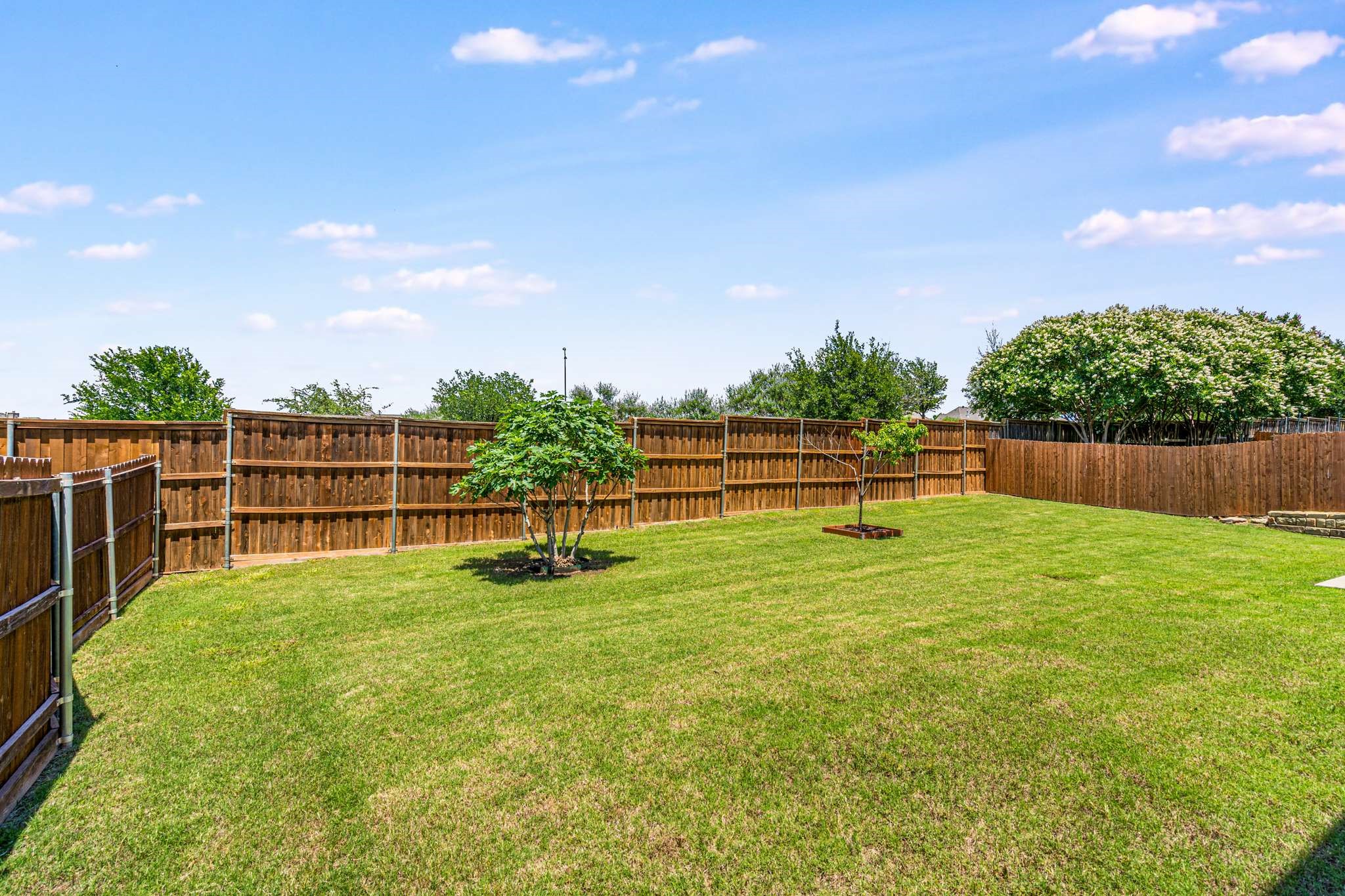 12816 Lizzie Place